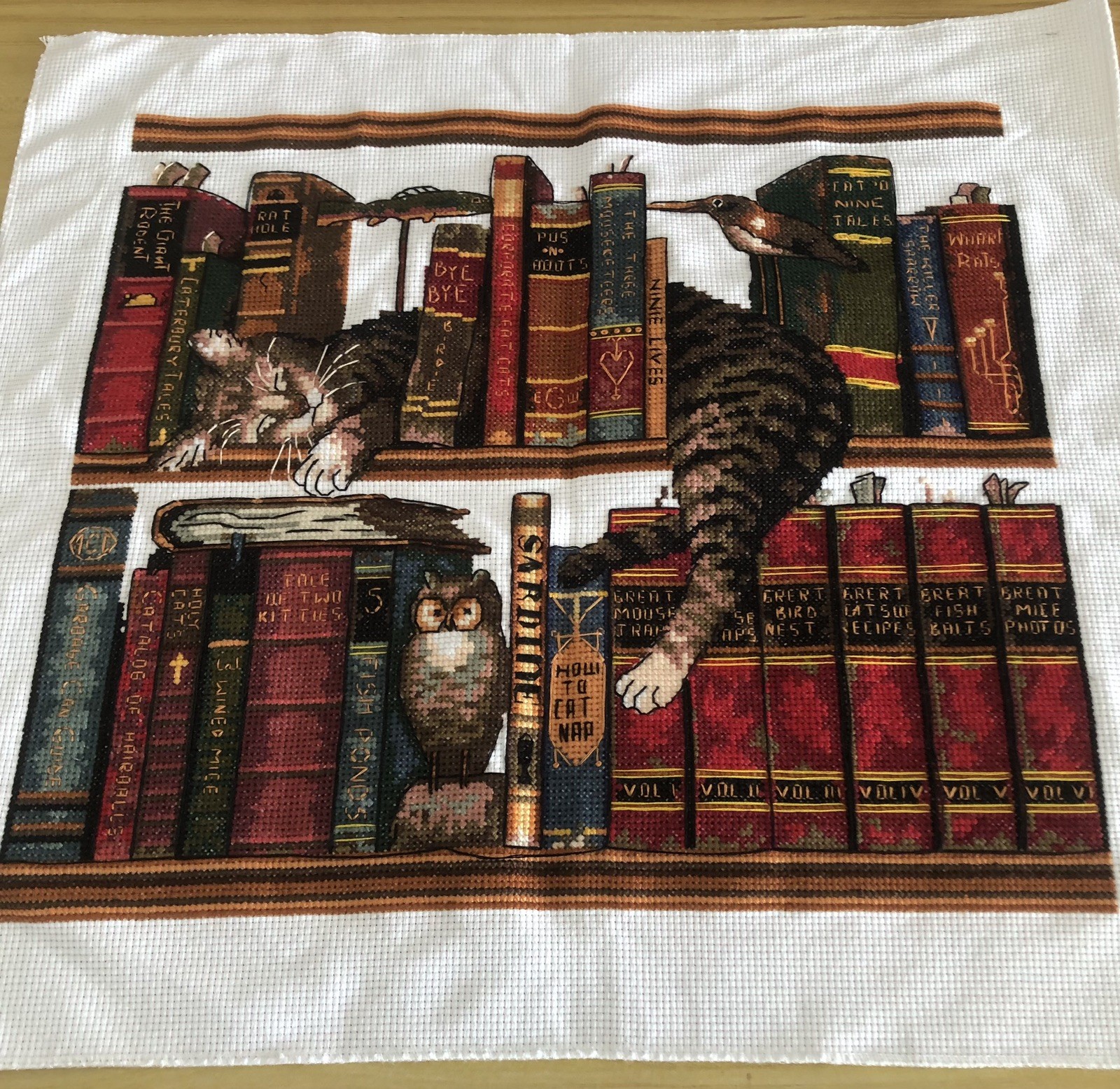 Handmade Completed Finished Cross Stitch The Cat On the Bookshelf 15\'\'x 14\'\' New Handmade Completed Finished Cross Stitch The Cat On the Bookshelf 15\'\'x 14\'\' New