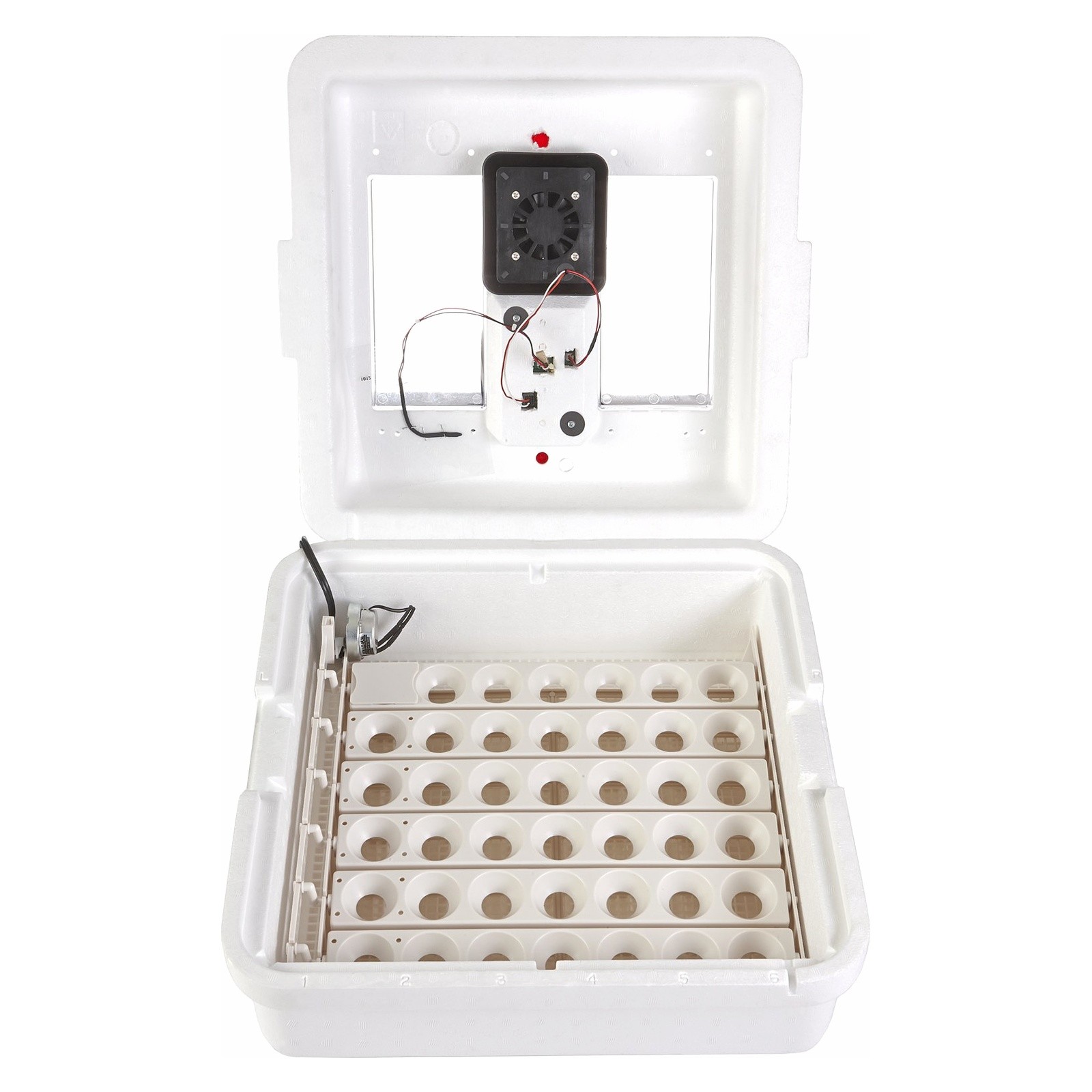 Little Giant Deluxe Egg Incubator with Automatic Turner Not Ship CA
