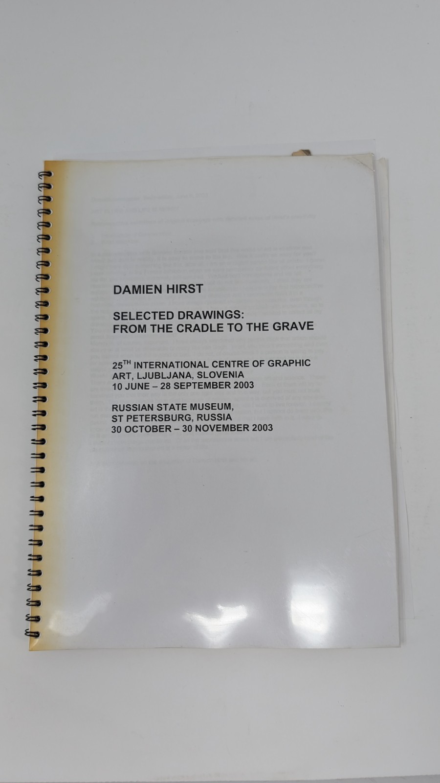 Damien Hirst Archival Exhibition Dossier British Council Michael Joo Provenance