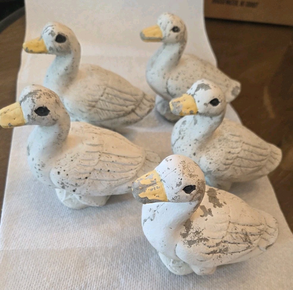 🦆Vintage Concrete Cement Garden Yard WHITE PEKIN DUCK Ducklings Lot Of 5 👀🦆 🦆Vintage Concrete Cement Garden Yard WHITE PEKIN DUCK Ducklings Lot Of 5 👀🦆
