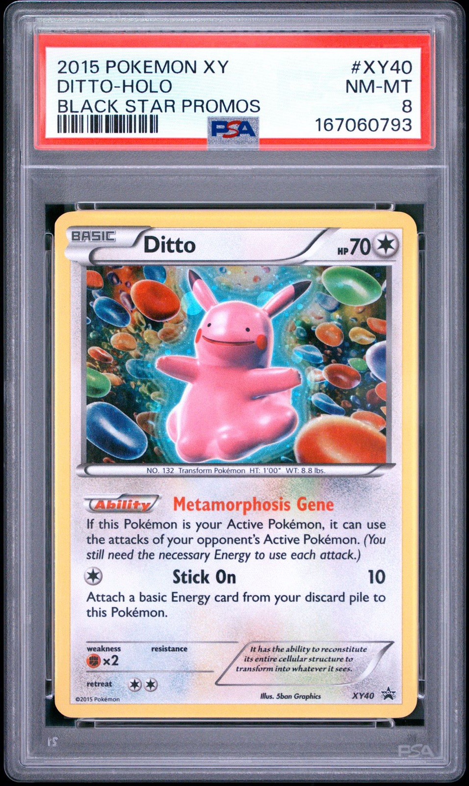 RARE DITTO HOLO BLACK STAR PROMO XY40 - POKEMON XY  2015 - PSA 8
