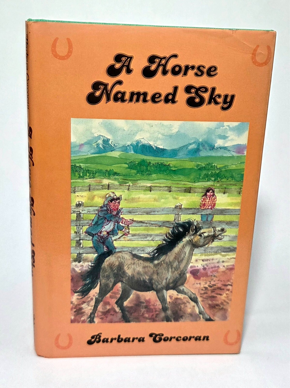 A Horse Named Sky Barbara Corcoran 1986 SIGNED First Edition First Print HC$DJ