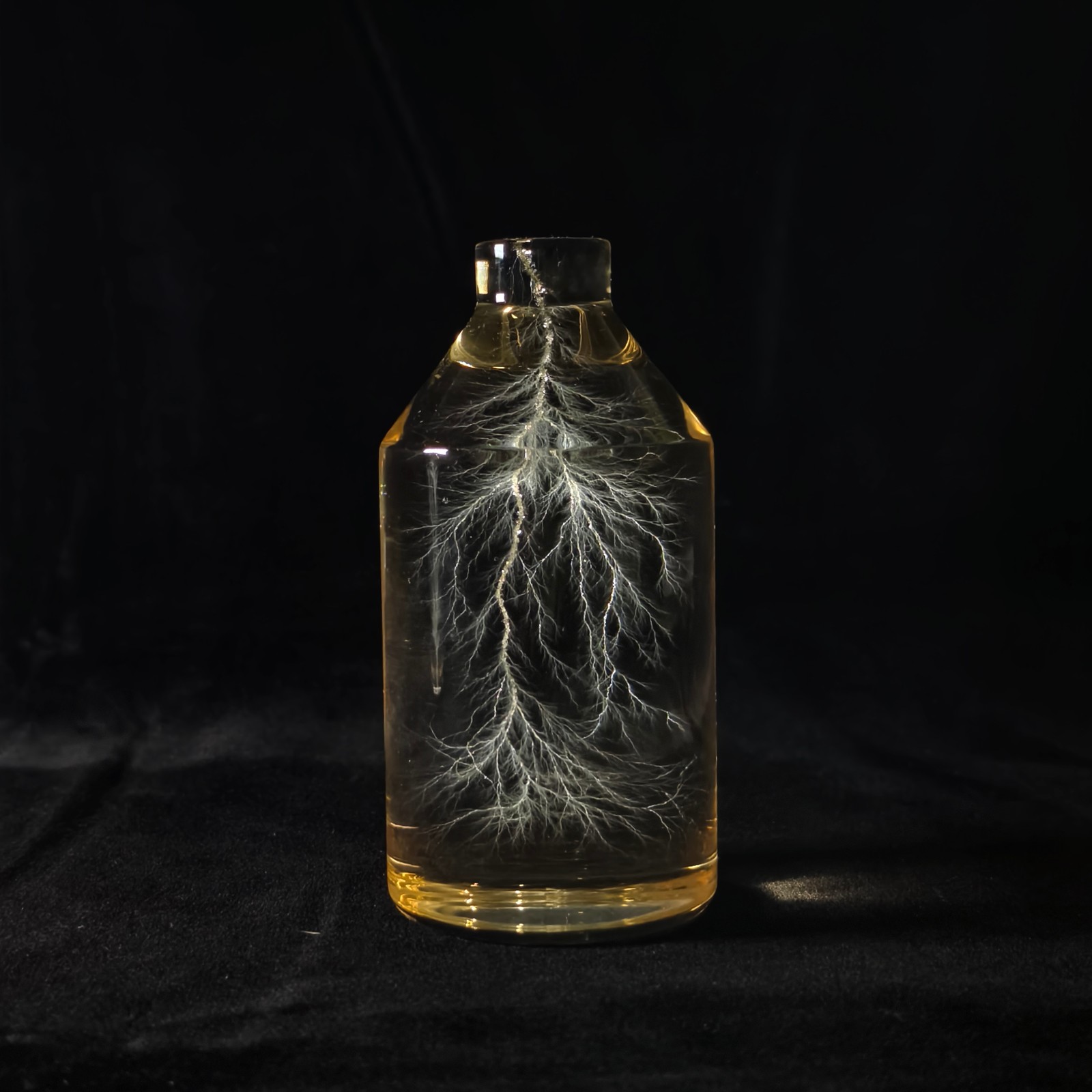 Lightning in a Bottle / Lichtenberg Figure Physics Art 2