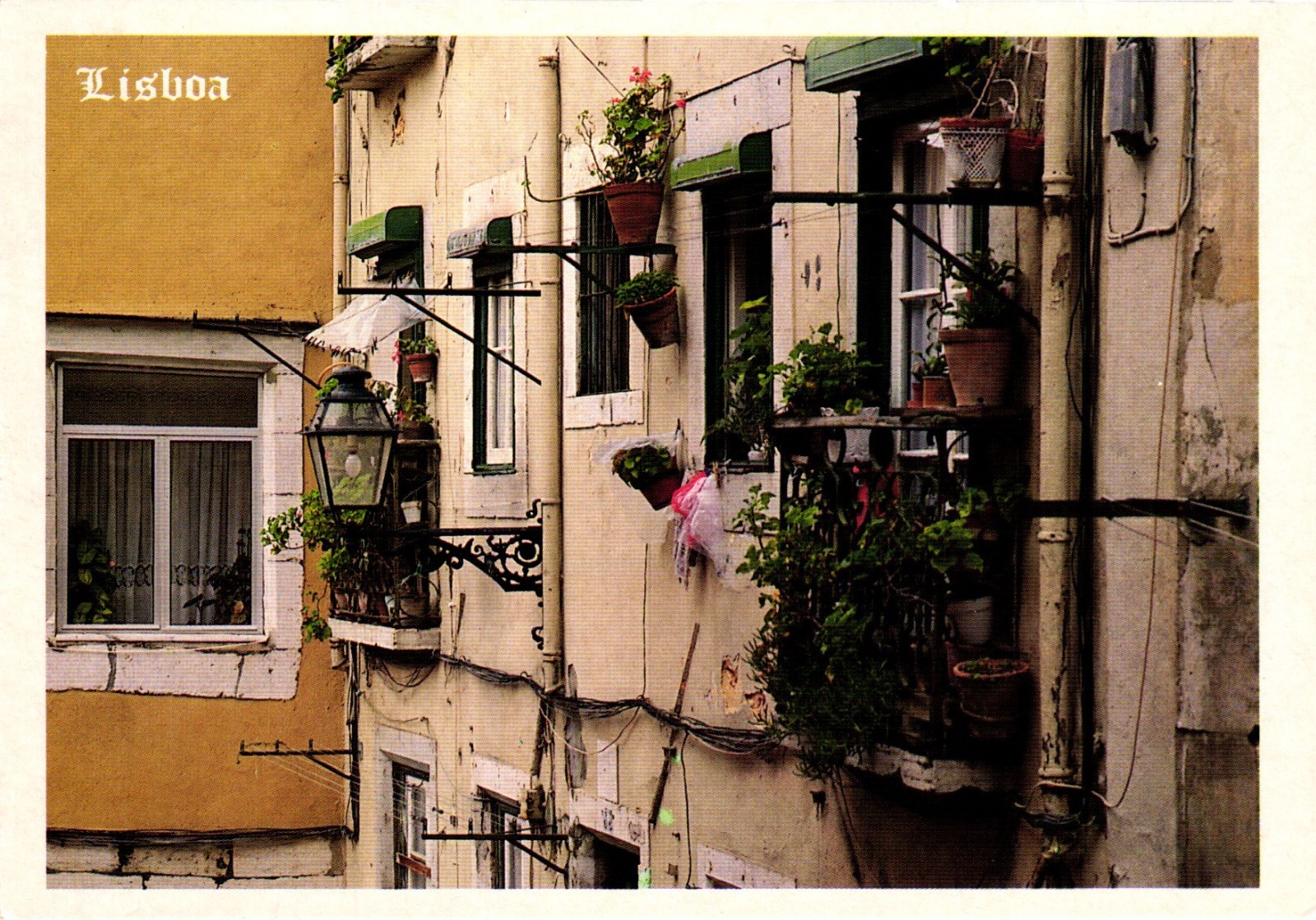 A View Of The Oldest Quarters Castelo Lisboa Portugal Postcard