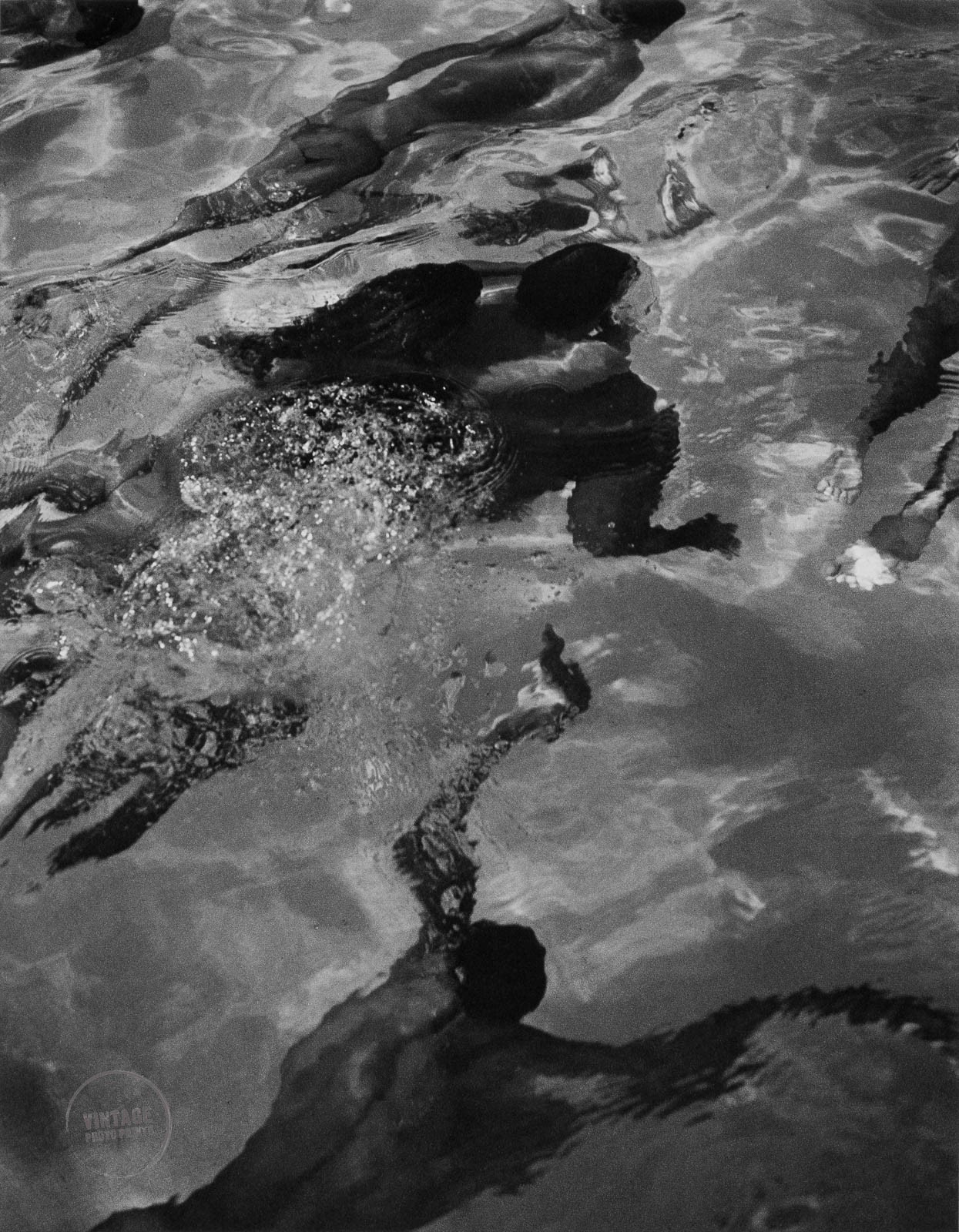 VTG Bruce Weber Print Swimmers Miami Beach Photogravure Art Photo 1986 Mat 13x16
