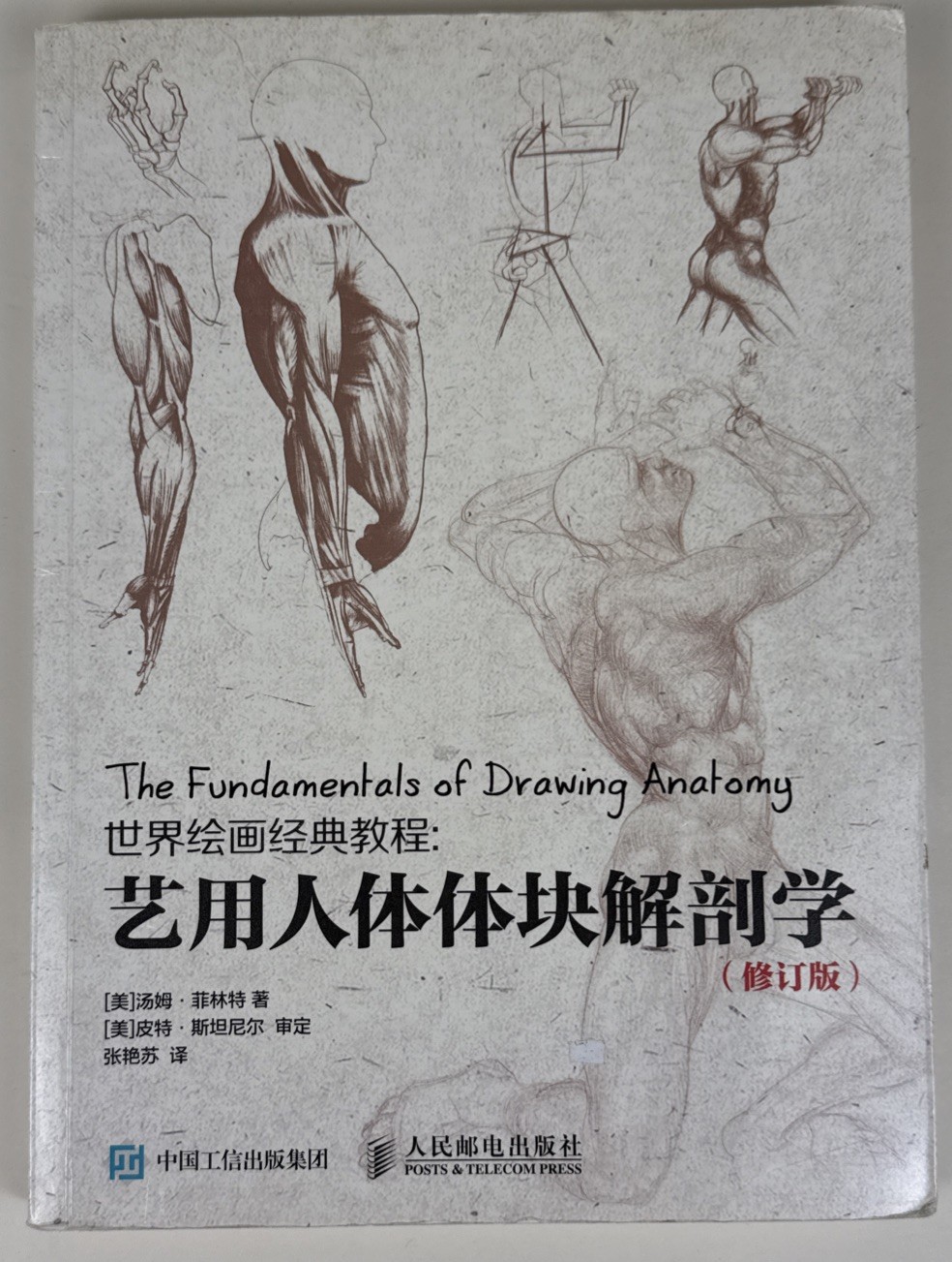 Fundamentals of Drawing Anatomy Chinese Edition Art Instruction Figure Drawing
