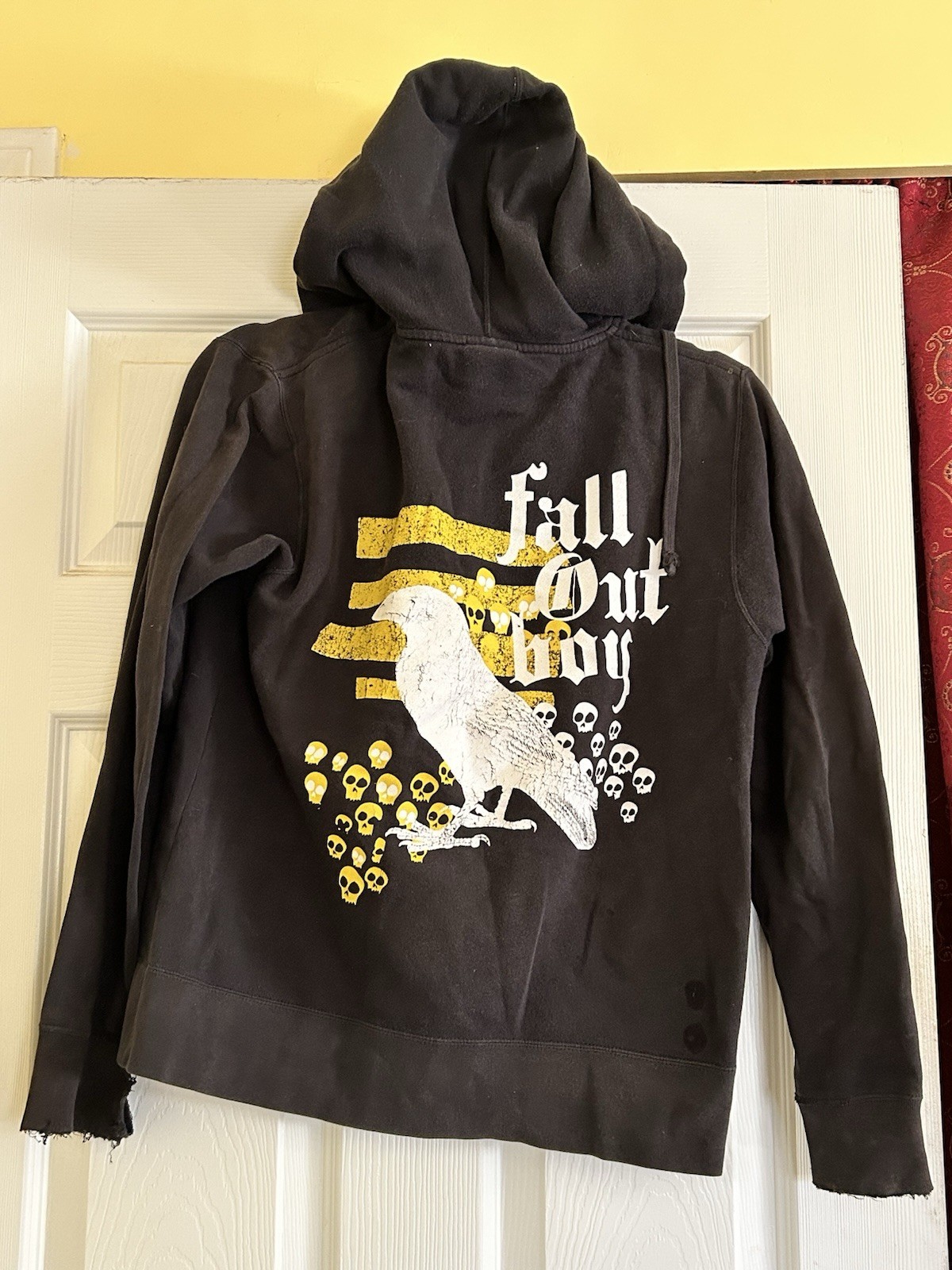 Vintage 2007 Fall Out Boy Zip Up Hoodie APX Tag XS Men Black Skull Crow Graphics