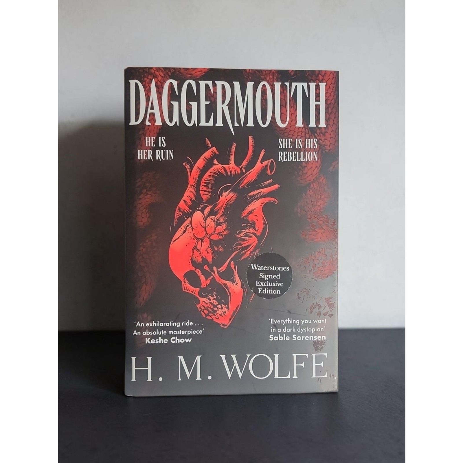 Daggermouth by H. M. Wolfe – Waterstones Signed Exclusive Edition Daggermouth by H. M. Wolfe – Waterstones Signed Exclusive Edition