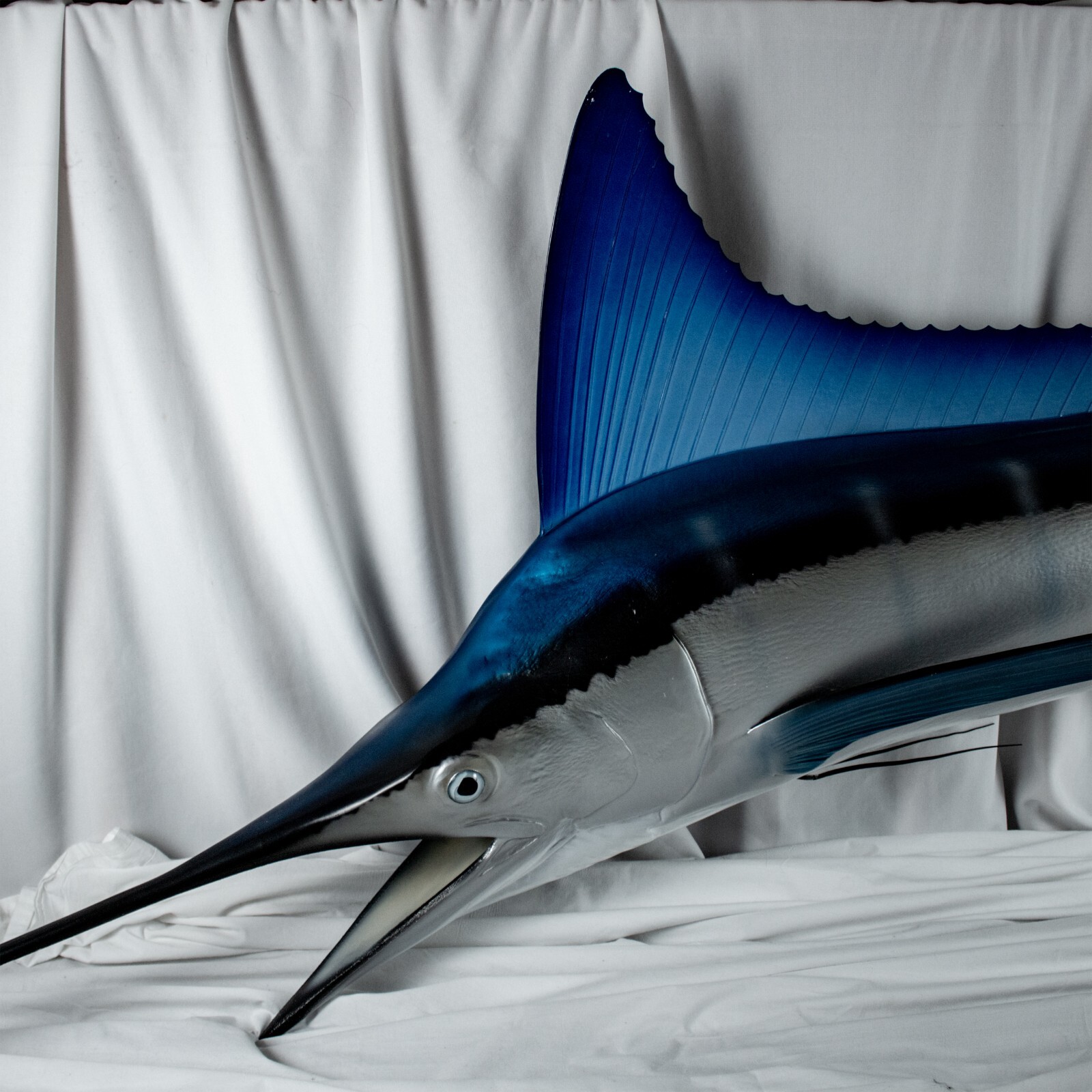 VINTAGE 8ft feet Fibre Glass Turquoise Blue Marlin Fish Fishing Wall Ocean