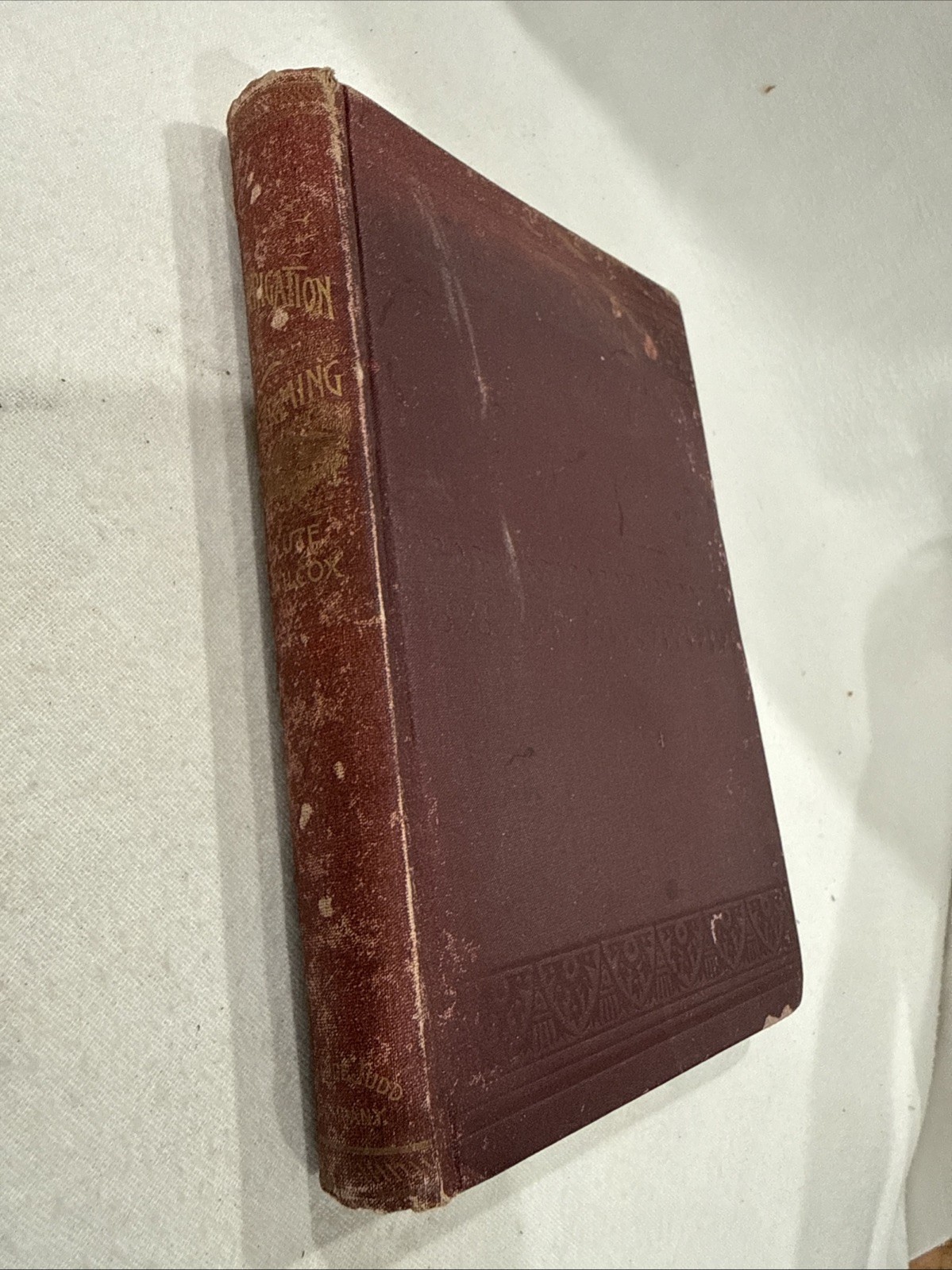 Irrigation Farming Lute Wilcox 1895 Antique Agriculture Book Illustrated