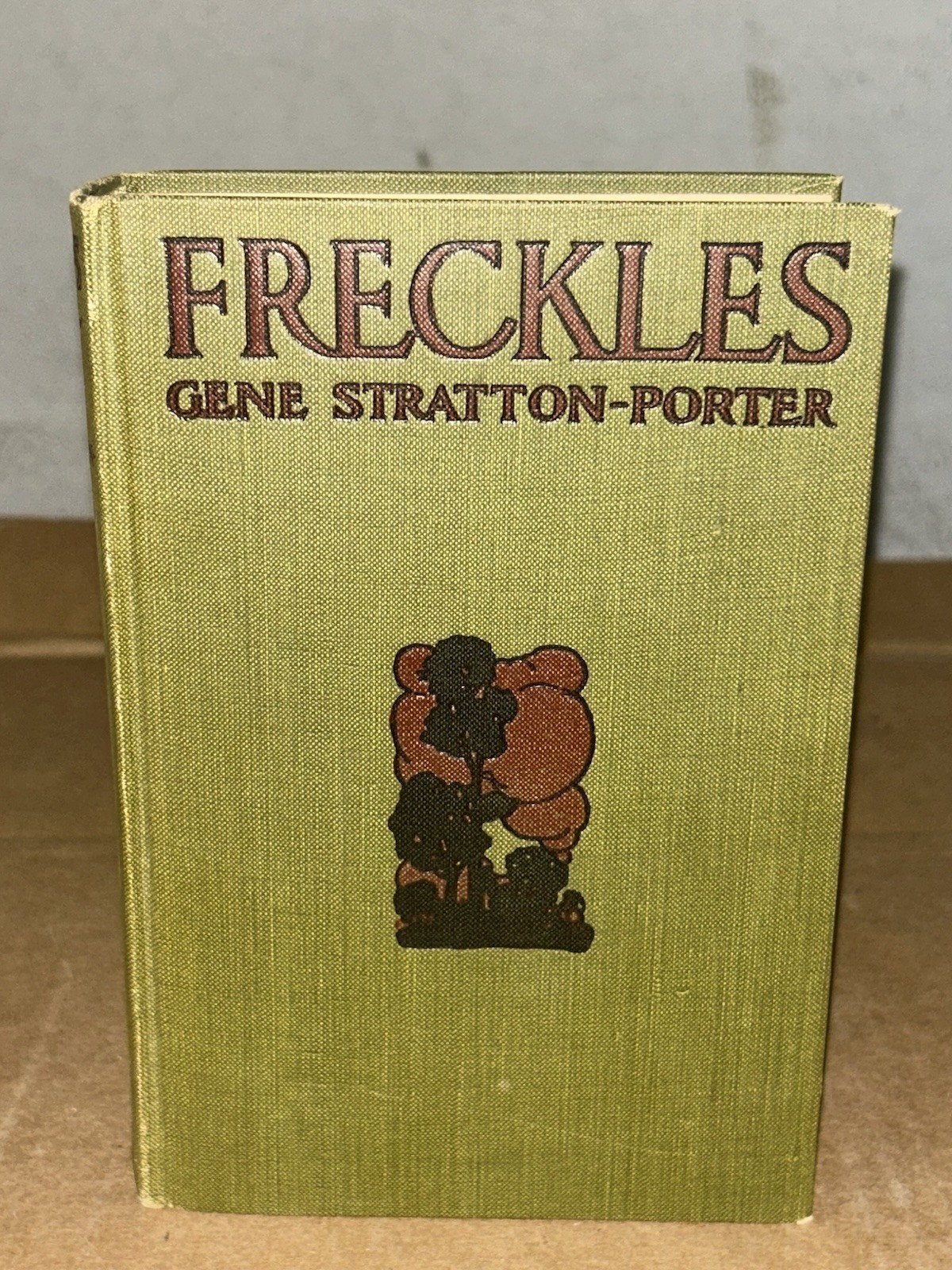 1904 Freckles by Gene Stratton-Porter 1st Printing Illustrated Hardcover