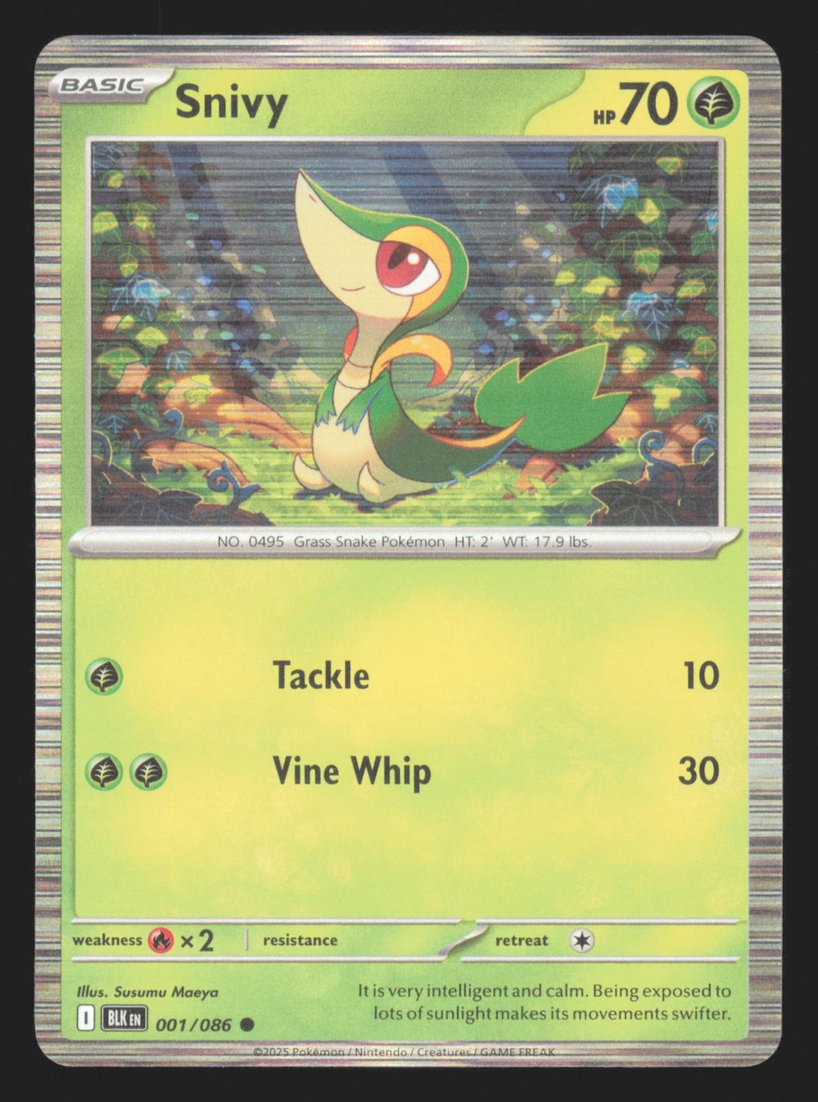 Snivy 001/086 Common Black Bolt Pokemon Holo Near Mint Snivy 001/086 Common Black Bolt Pokemon Holo Near Mint
