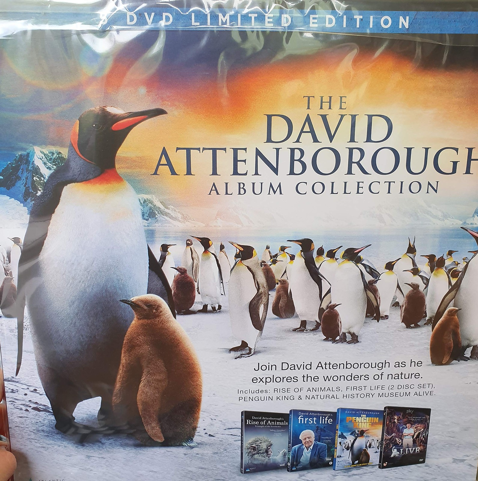 The David Attenborough Album Collection (DVD) (UK IMPORT)
