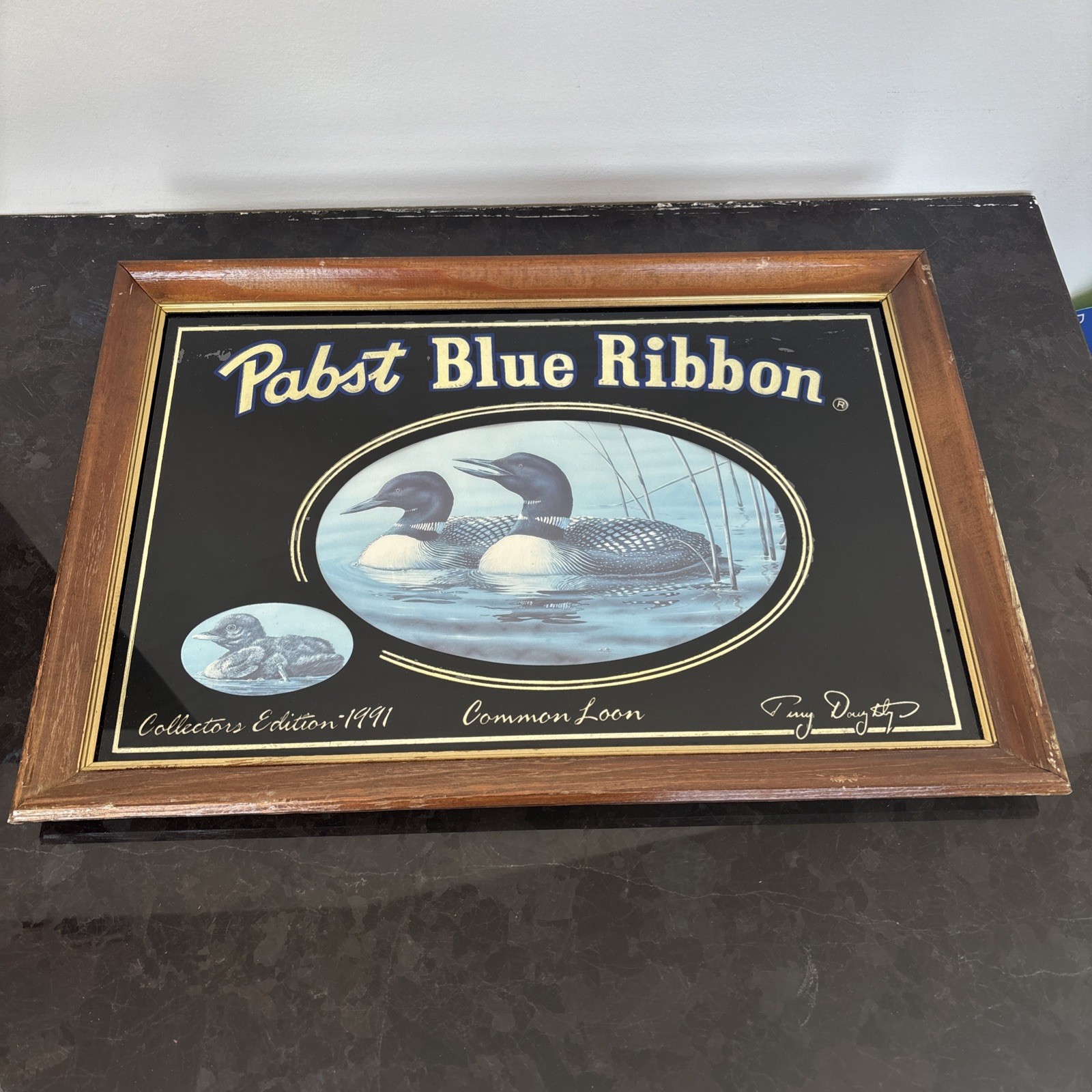 Vintage 1991 Pabst Blue Ribbon Common Loon Beer Mirror Sign Terry Doughty PBR