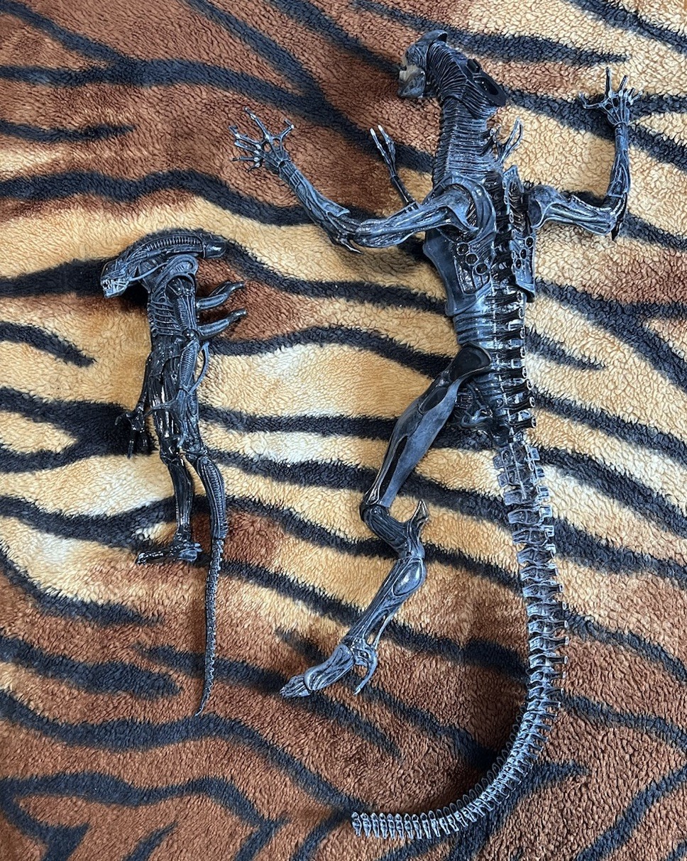 NECA Aliens 1986 Alien Queen & Xenomorph Warrior Bundle Lot NECA Aliens 1986 Alien Queen & Xenomorph Warrior Bundle Lot