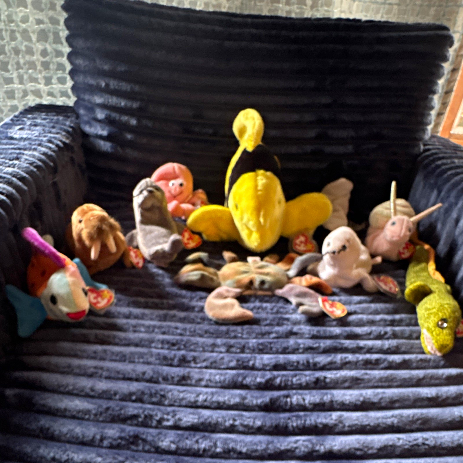 Vintage & Flawless Ty Beanie Babies Under the Sea Collection: 10 Aquatic lot