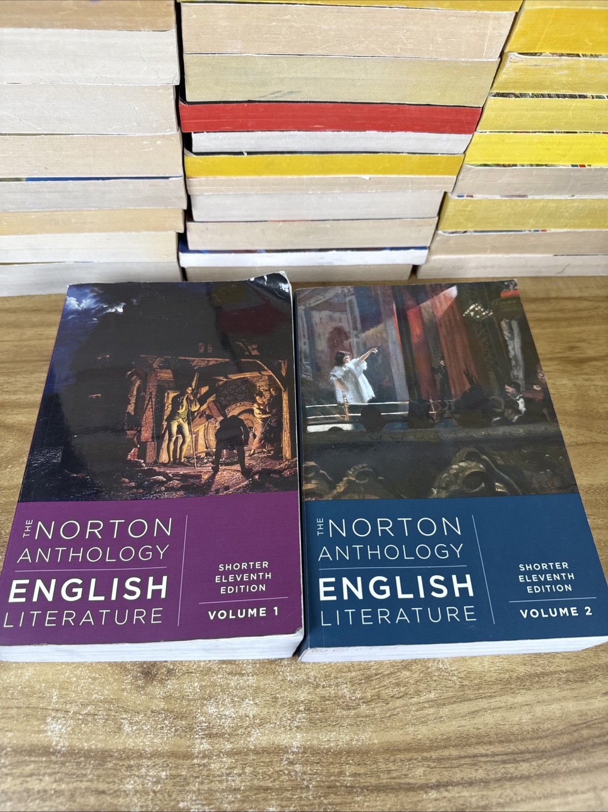 Norton Anthology of English Literature Shorter 11th ED Volumes 1&2 ACCEPTABLE