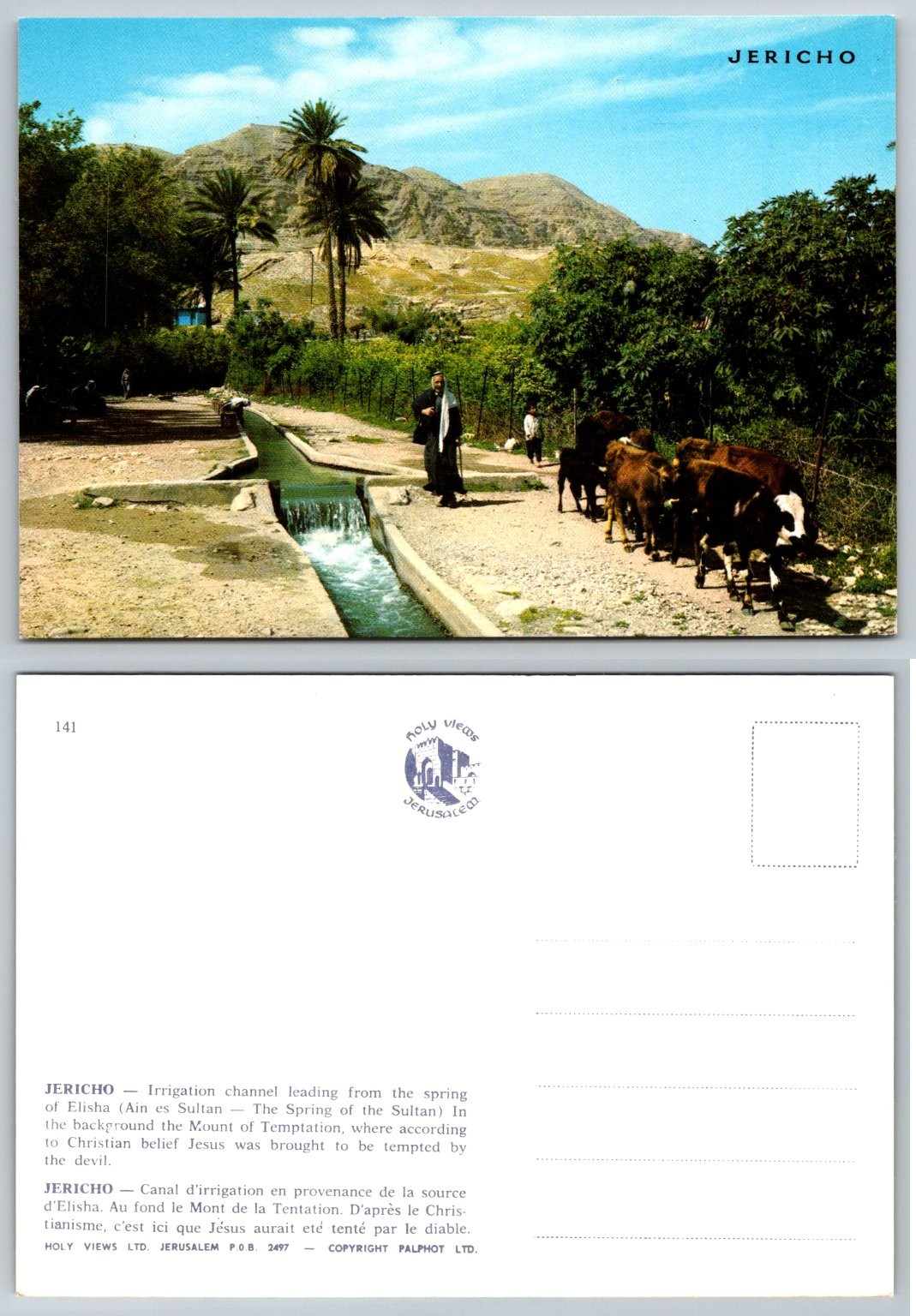 Vintage Jericho Holy Land Postcard Elisha's Spring Mount Temptation Israel