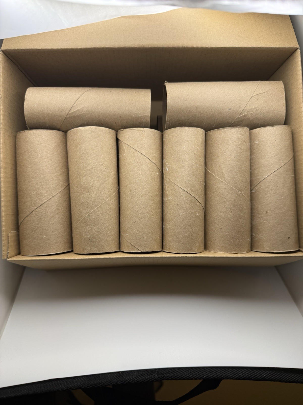 24 Empty Toilet Paper Rolls Cardboard Tubes Arts & Crafts School Project