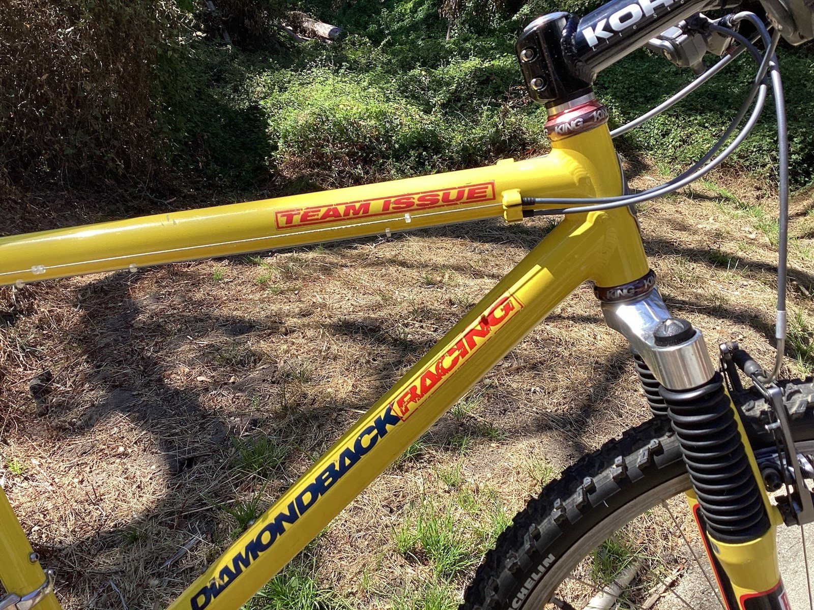 Diamondback DBR Team Issue Mountain Bike by Control Tech 19” MTB Vintage Rare Diamondback DBR Team Issue Mountain Bike by Control Tech 19” MTB Vintage Rare