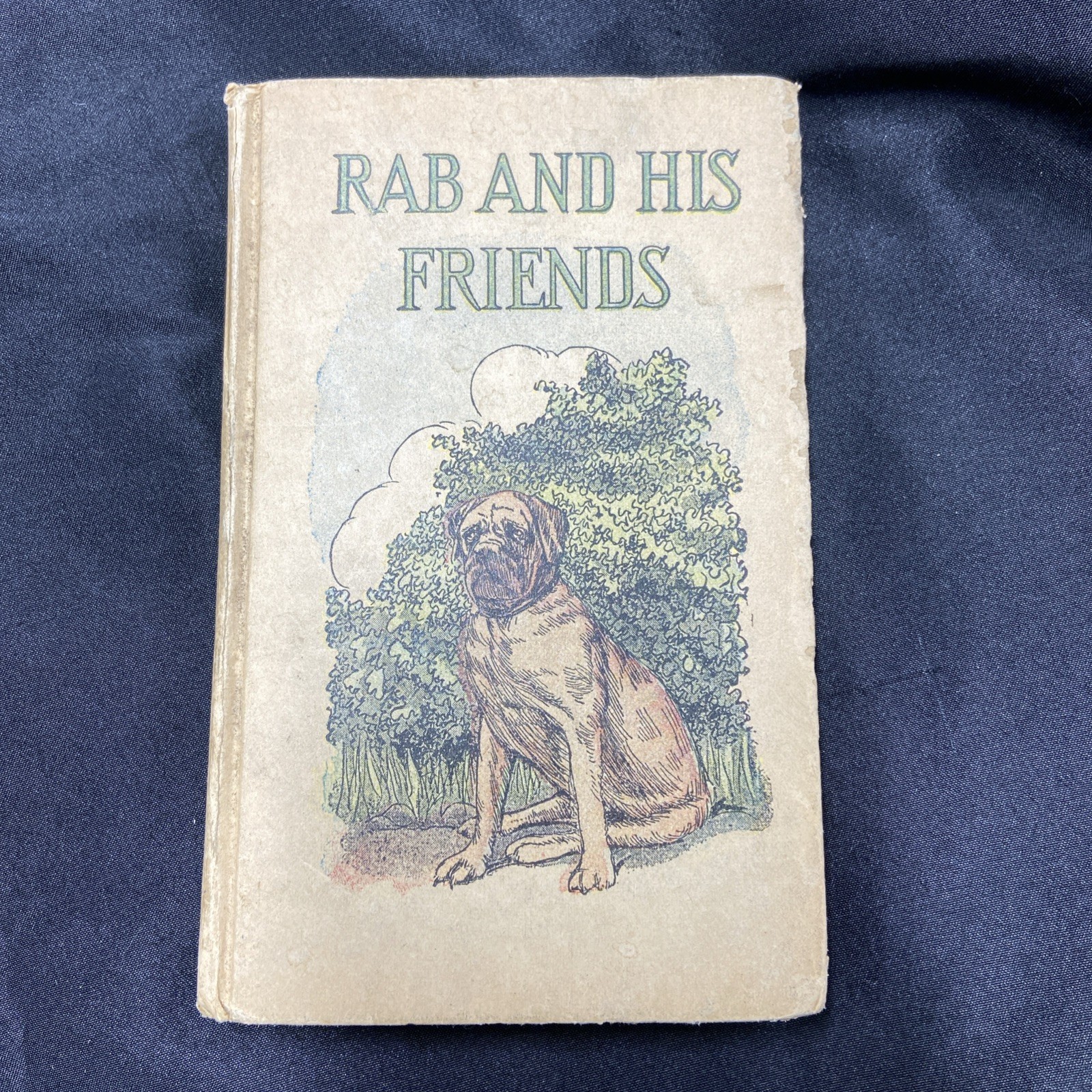 Antique 1910s RAB AND HIS FRIENDS John Brown Book Platt & Peck Mastiff Dog Cover