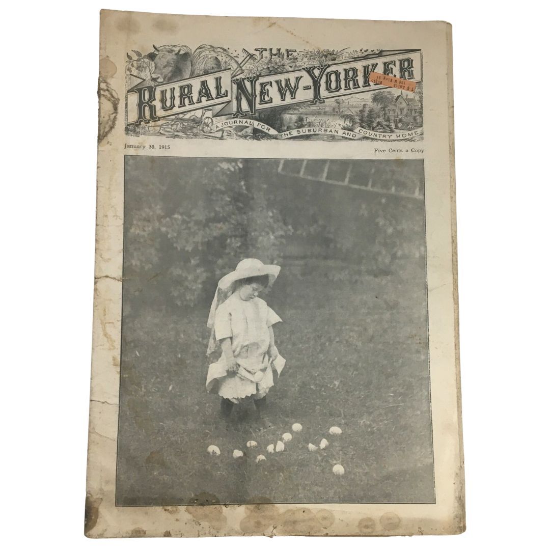 The Rural New Yorker Magazine January 30 1915 The Great American Bird Plymouth