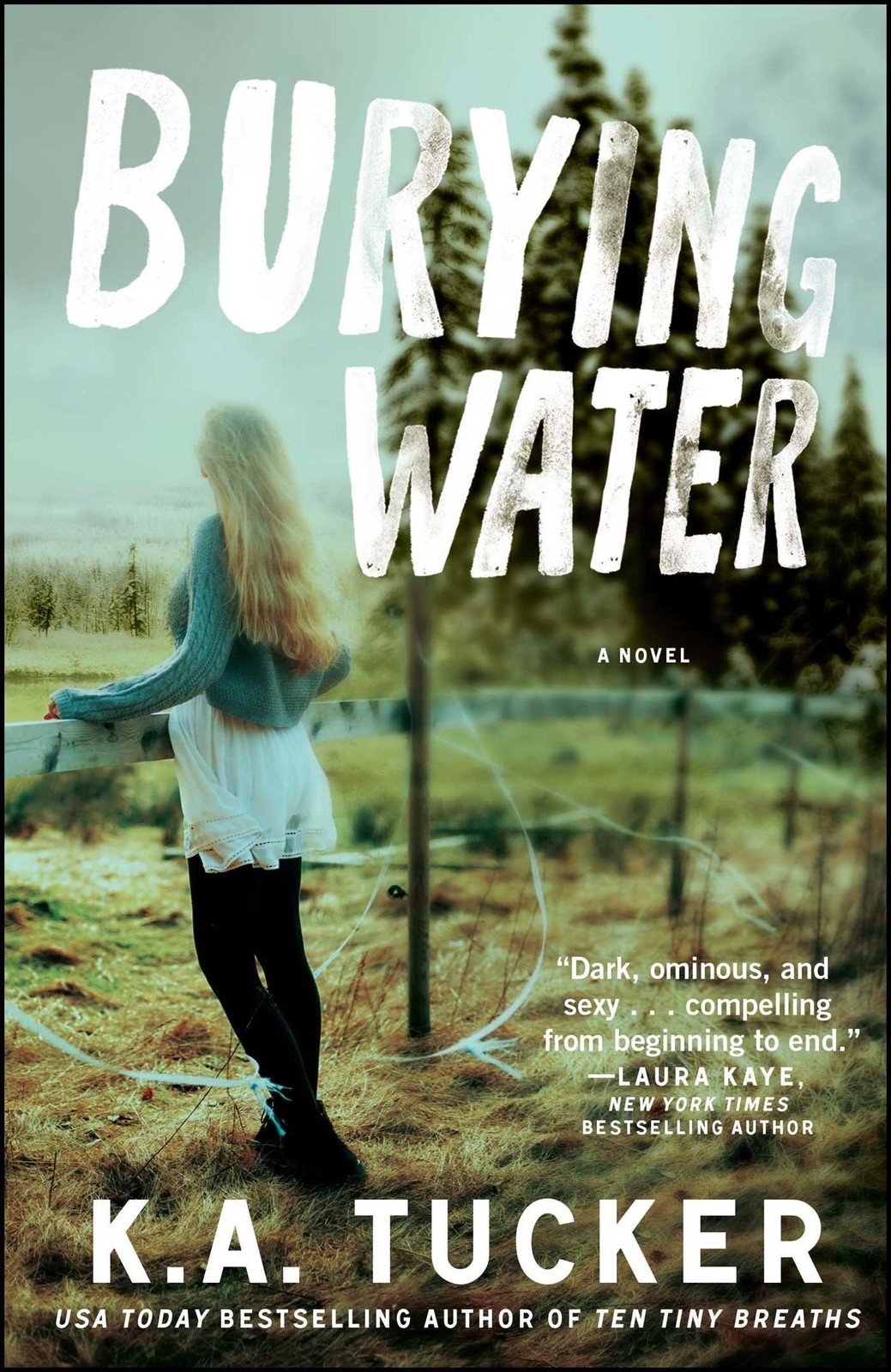 Burying Water: A Novel (The Burying Water Series) Burying Water: A Novel (The Burying Water Series)