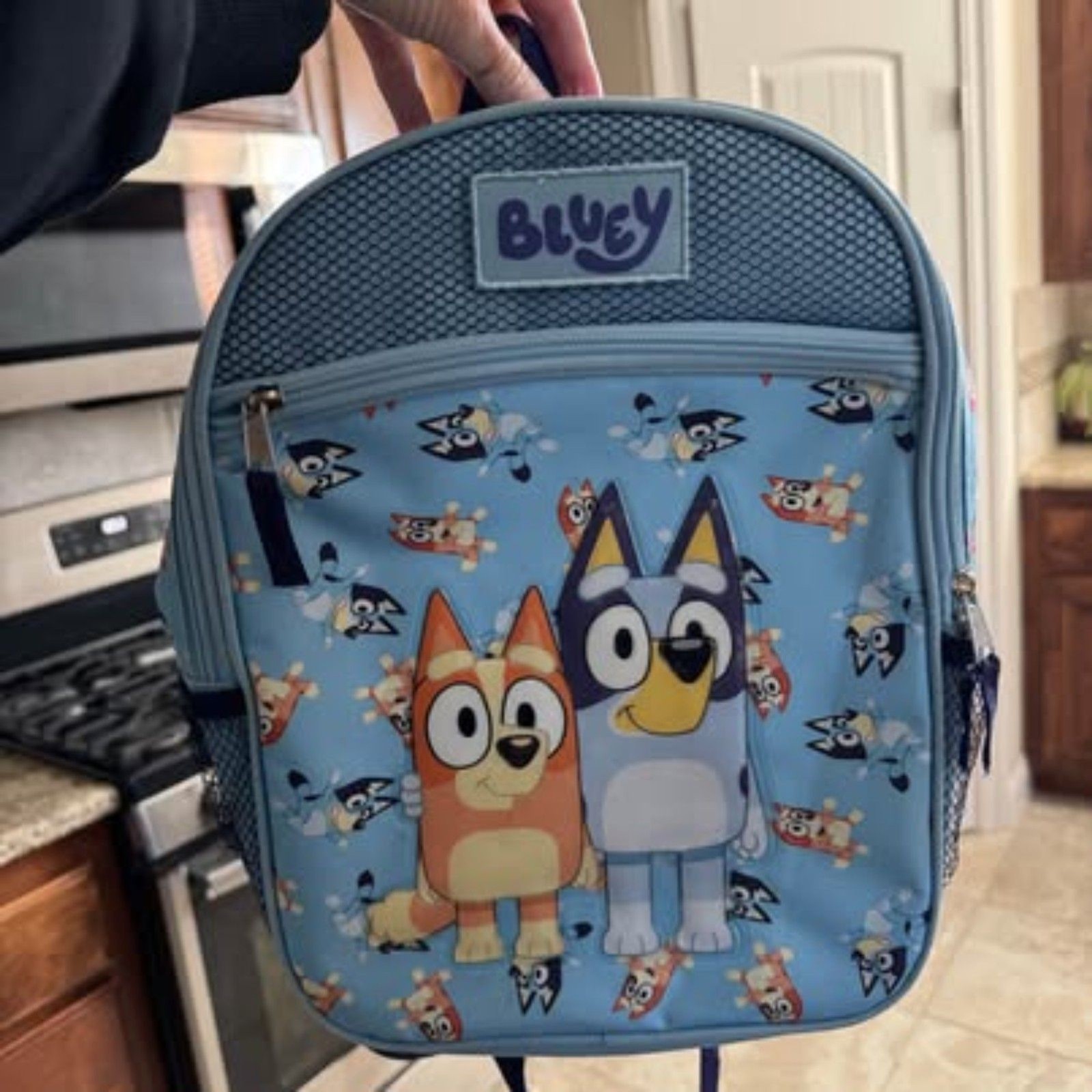 Bluey toddler backpack