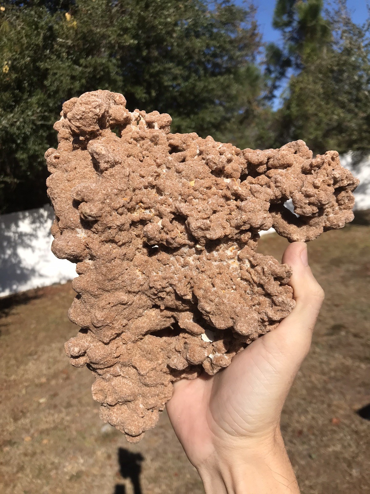 Rare large 2.8 Lbs Fulgurite Lightning Stone Florida 2.8 Pound Rough Raw Mineral