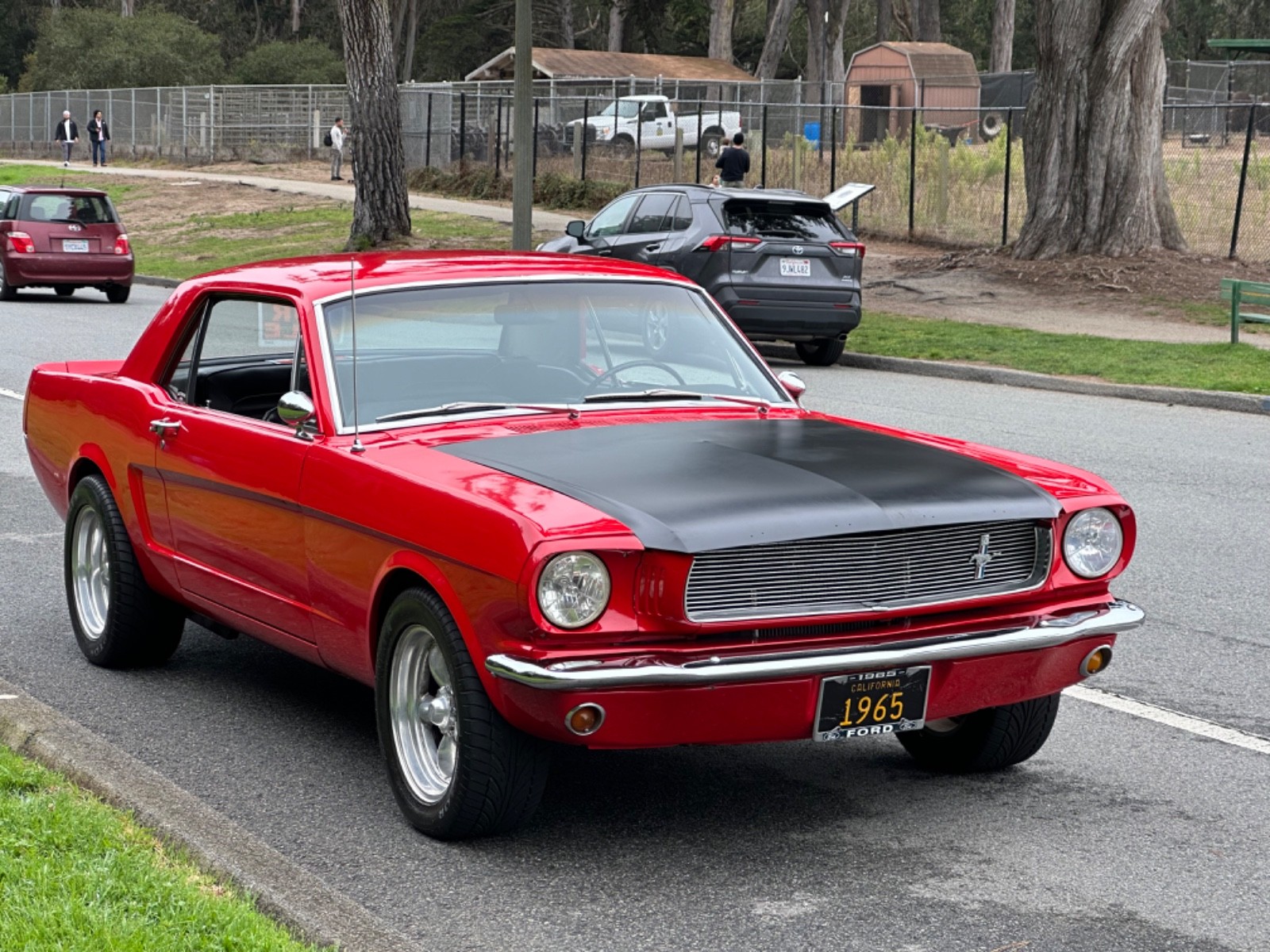 1965 Ford Mustang