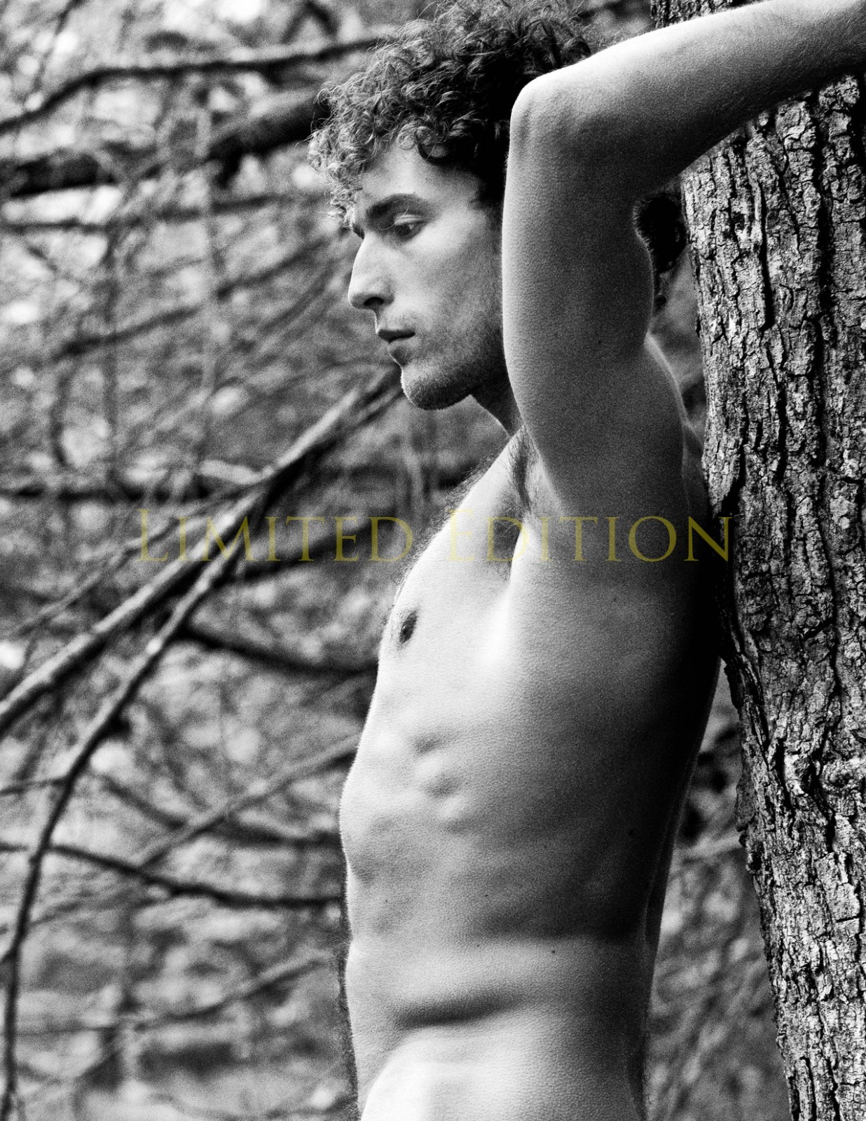 Handsome Male Nude Physique Gay Men Limited Edition Photo 8.5x11 4.21