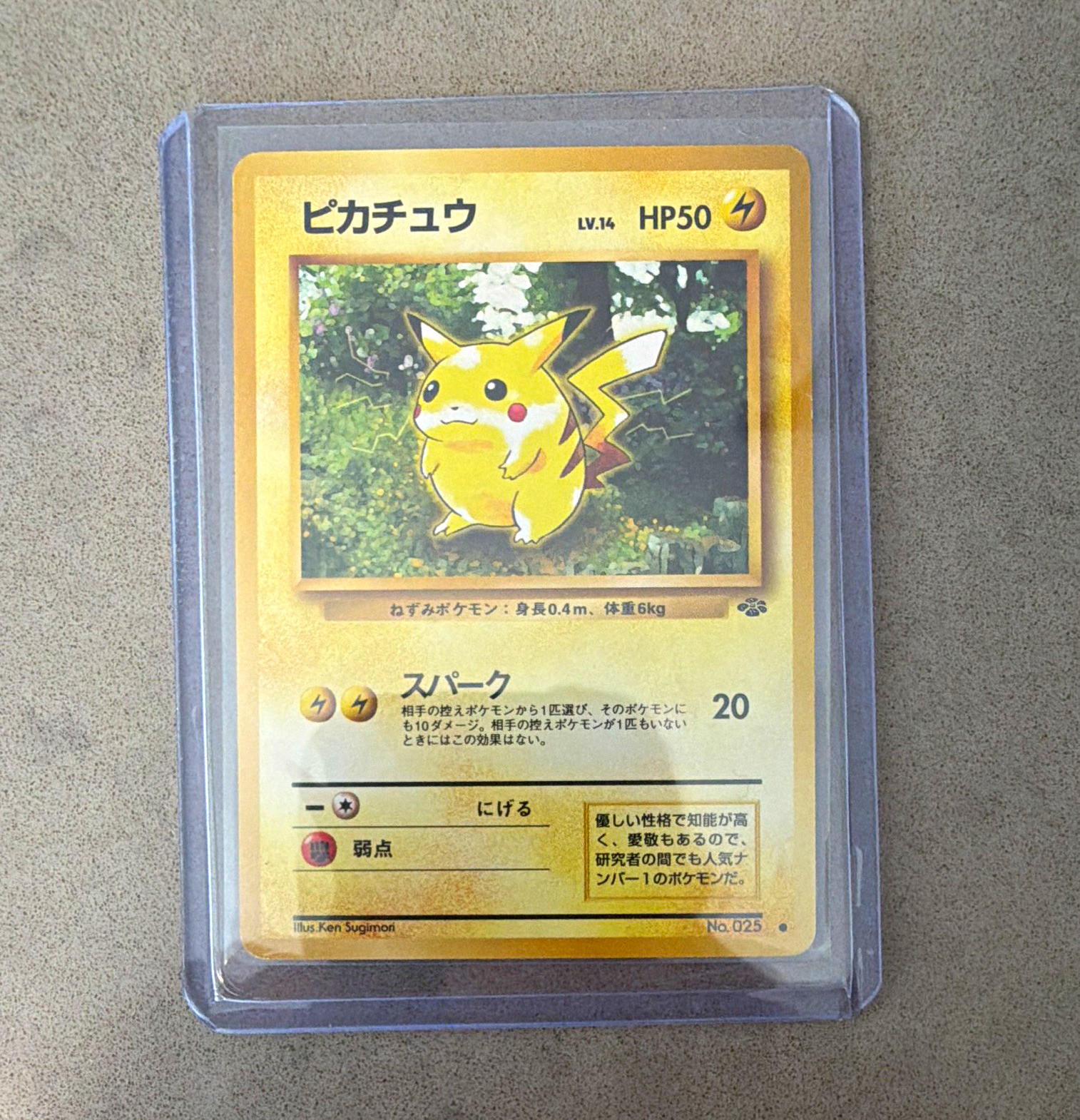 Nintendo Pokémon TCG Pikachu Jungle 025 Japanese 1996 50HP Ken Sugimori