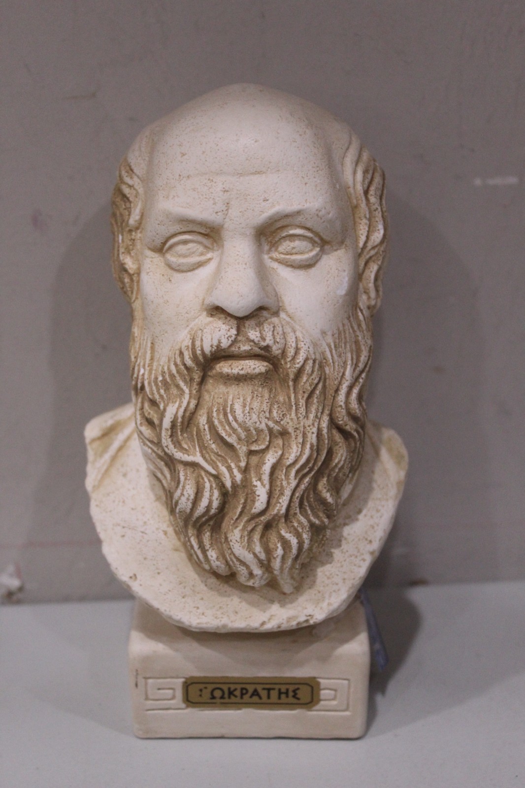 Socrates Ancient Greek Philosopher Bust Head Sculpture Casting Stone NEW