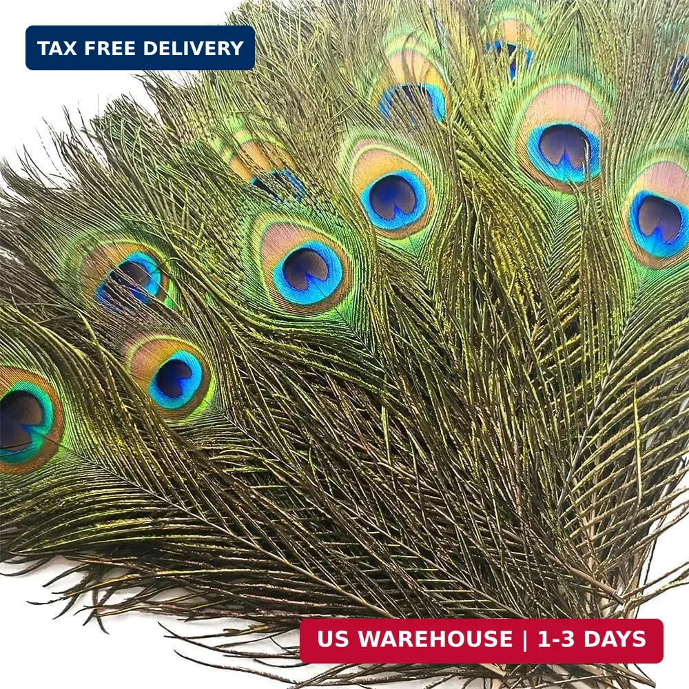 Piokio 50 Pcs Bulk Peacock Feathers, 10-12 inch Piokio 50 Pcs Bulk Peacock Feathers, 10-12 inch