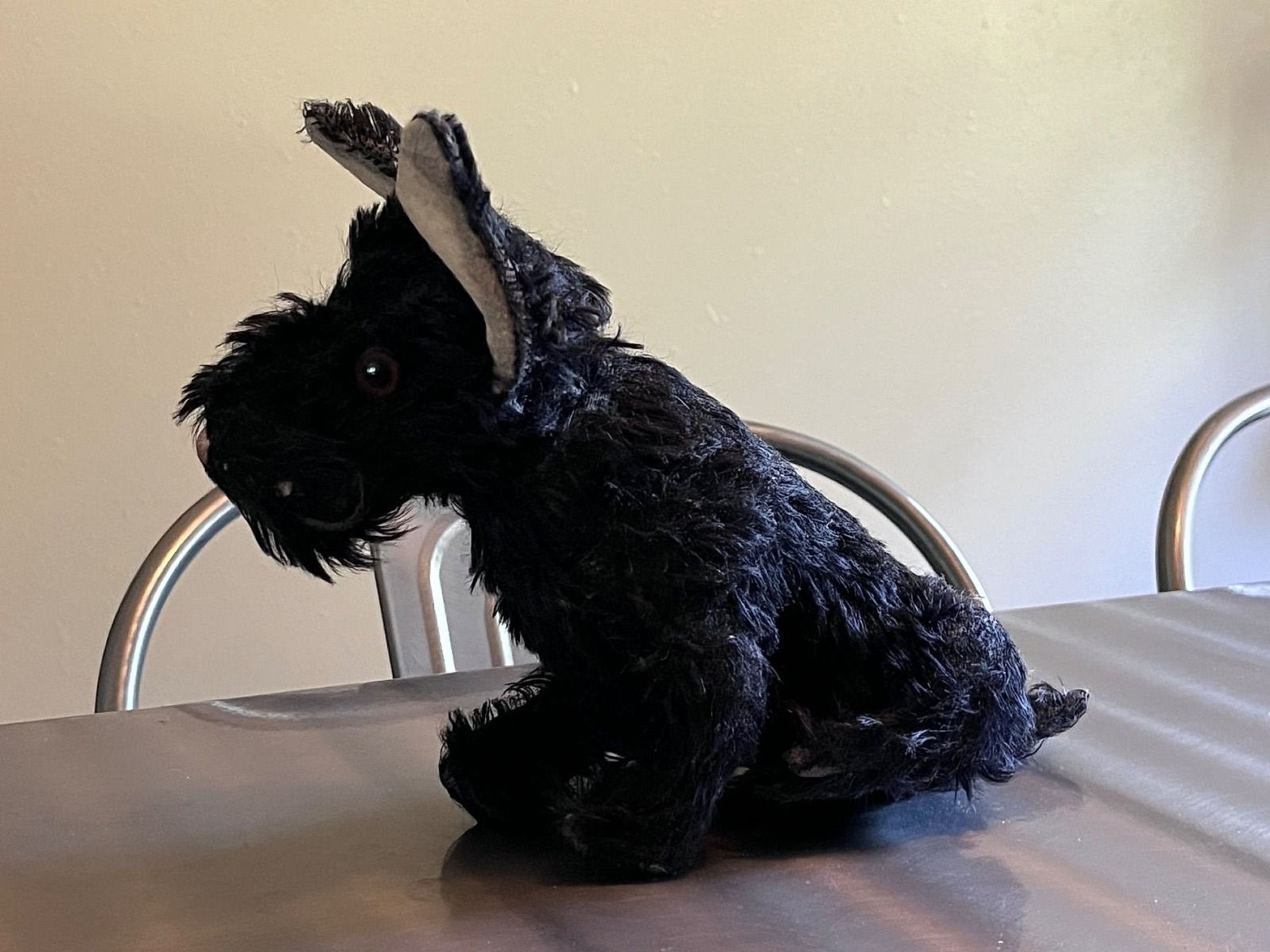 Vintage Steiff Black Mohair Scottish Terrier Scotty Dog Glass Eyes - Fair