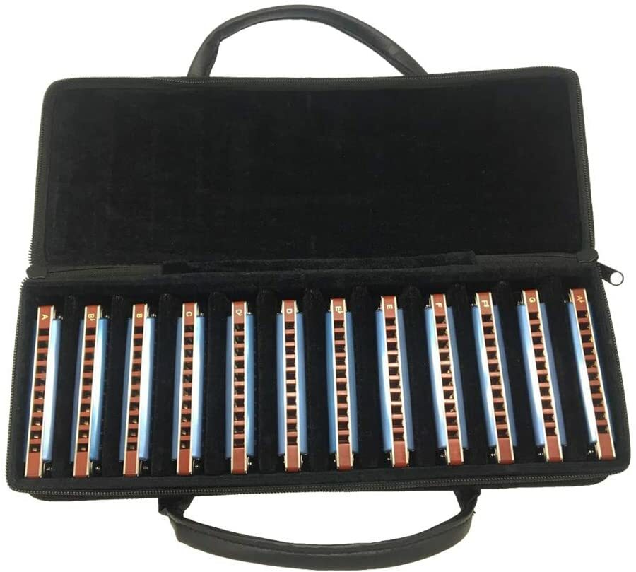 EASTTOP 10hole Harmonica Set T008K-12 Set Mouth Organ in One Case Blue Covers EASTTOP 10hole Harmonica Set T008K-12 Set Mouth Organ in One Case Blue Covers