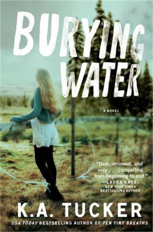 Burying Water (Paperback or Softback)