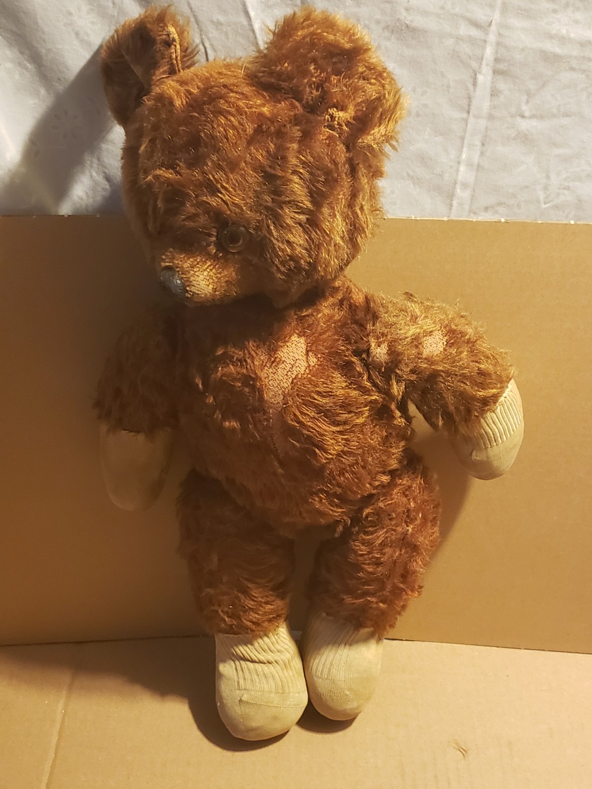 Stieff Bear Stieff Bear