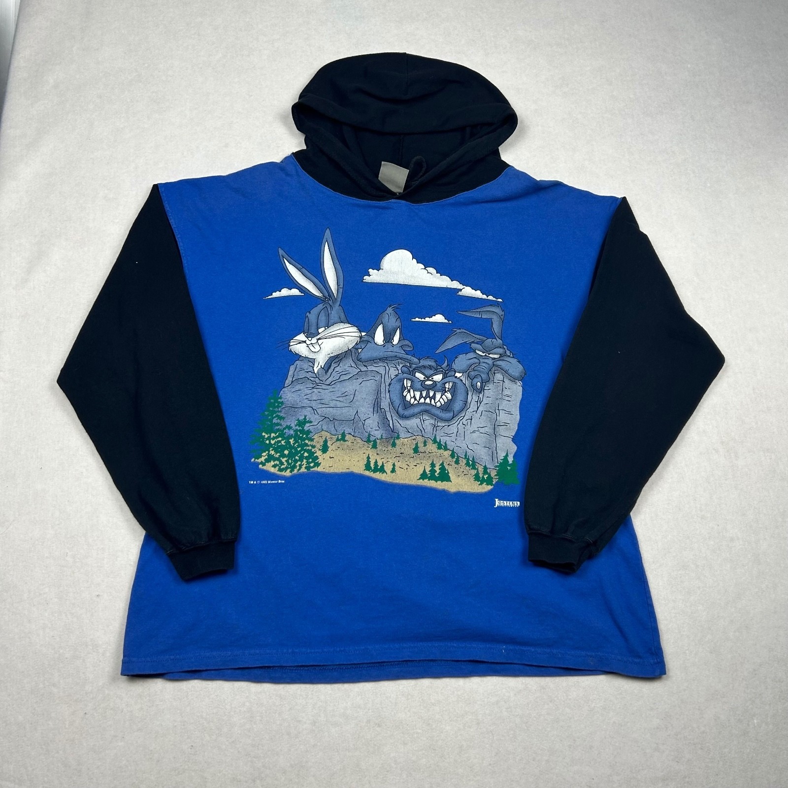 Vintage 90s Looney Tunes Mount Rushmore Hooded Shirt 2XL Jostens Vintage 90s Looney Tunes Mount Rushmore Hooded Shirt 2XL Jostens