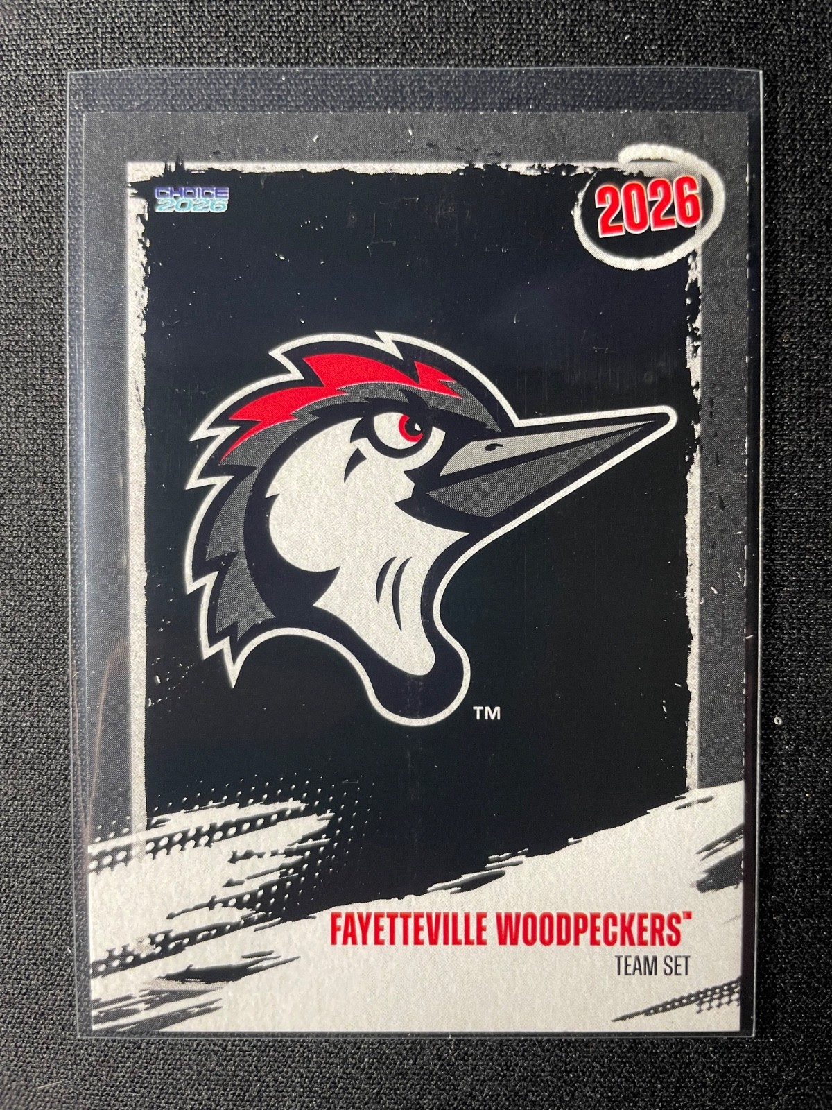 2026 Choice Fayetteville Woodpeckers Team Set (Astros) You Pick 