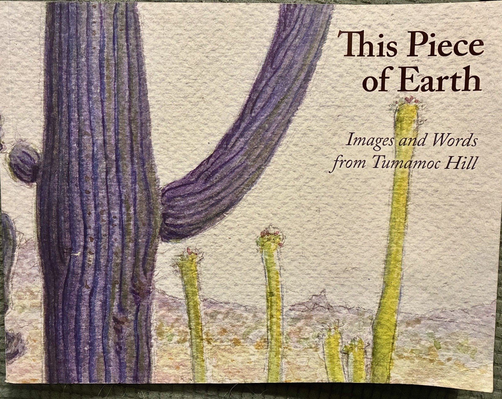 This Piece of Earth