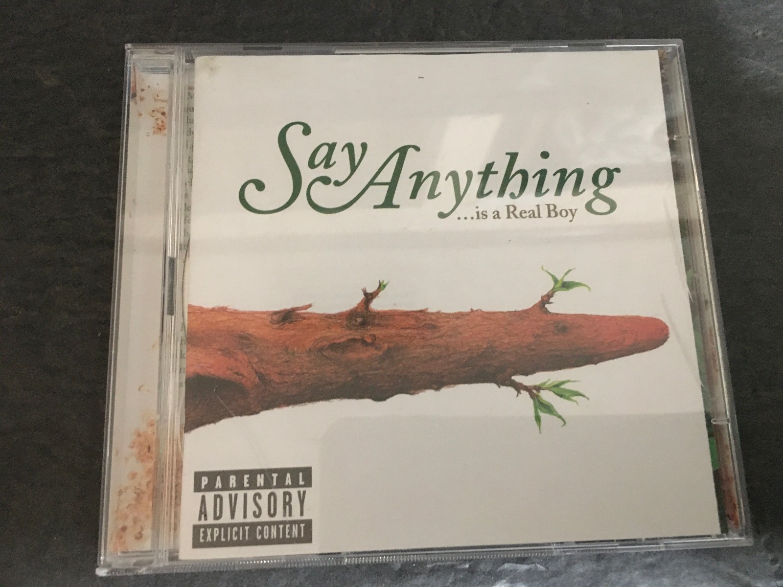 Say Anything Is A Real Boy 2 Disc Set CD Say Anything Is A Real Boy 2 Disc Set CD