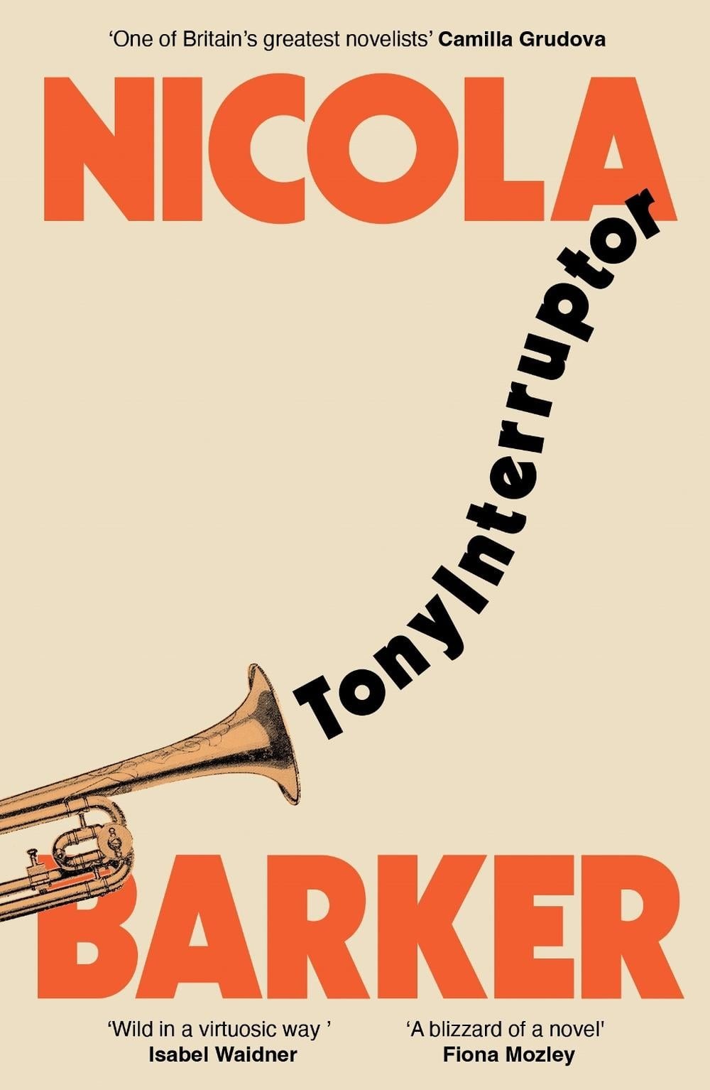 TonyInterruptor by Nicola Barker Paperback Book