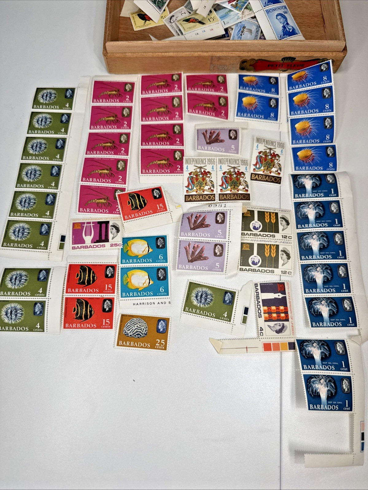 Vintage Caribbean Mint Stamp Lot 100+ Blocks Strips MNH in Wood Cigar Box
