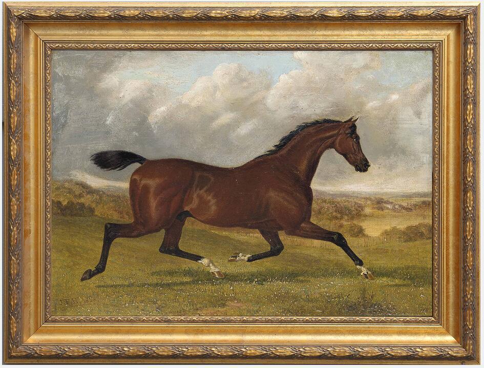 Old Master-Art Antique Oil Painting Portrait Runninghorse on Canvas