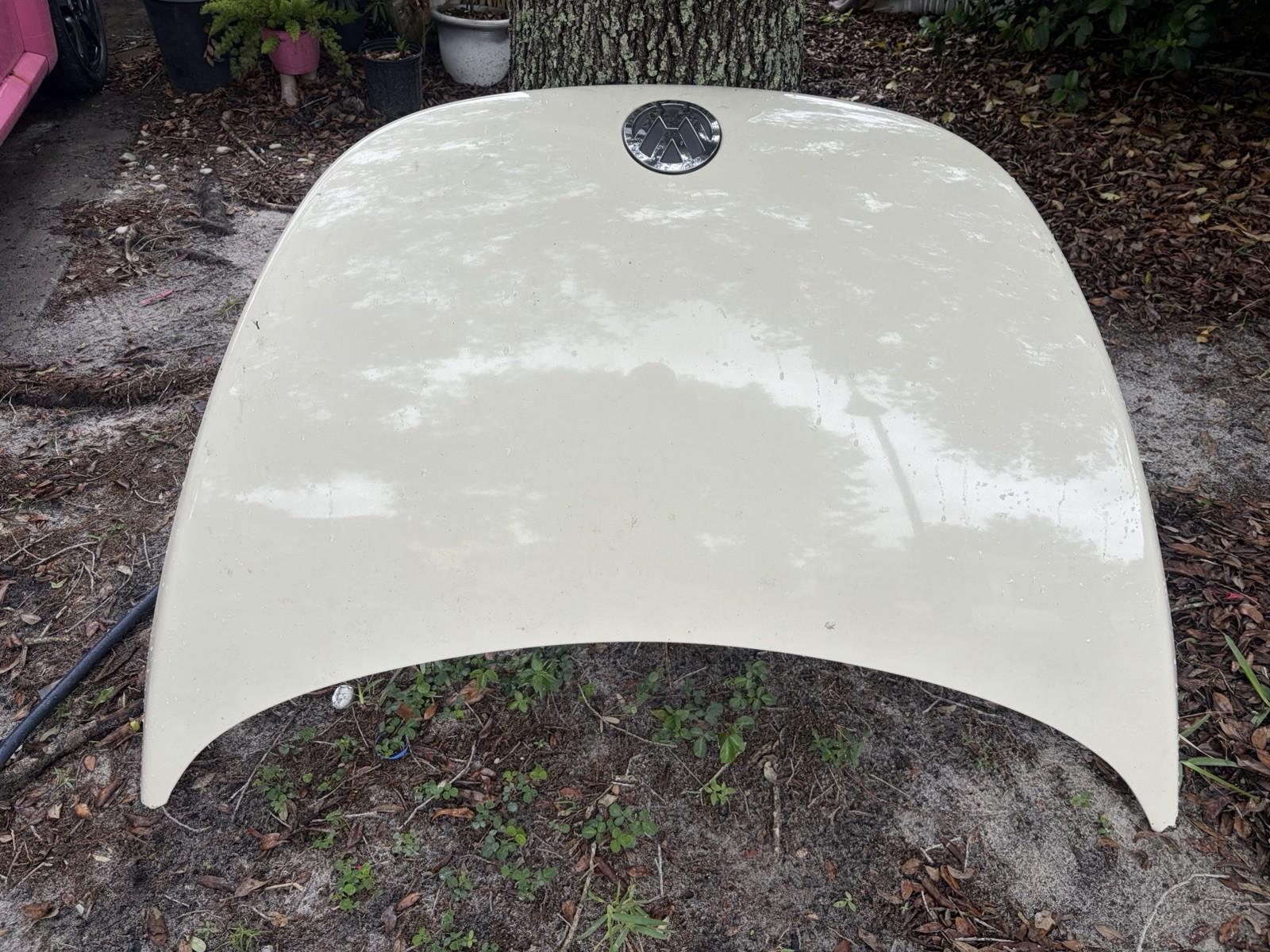 Volkswagen New Beetle Hood 2006 2007 2008 2009 2010 Beige With Emblem Volkswagen New Beetle Hood 2006 2007 2008 2009 2010 Beige With Emblem