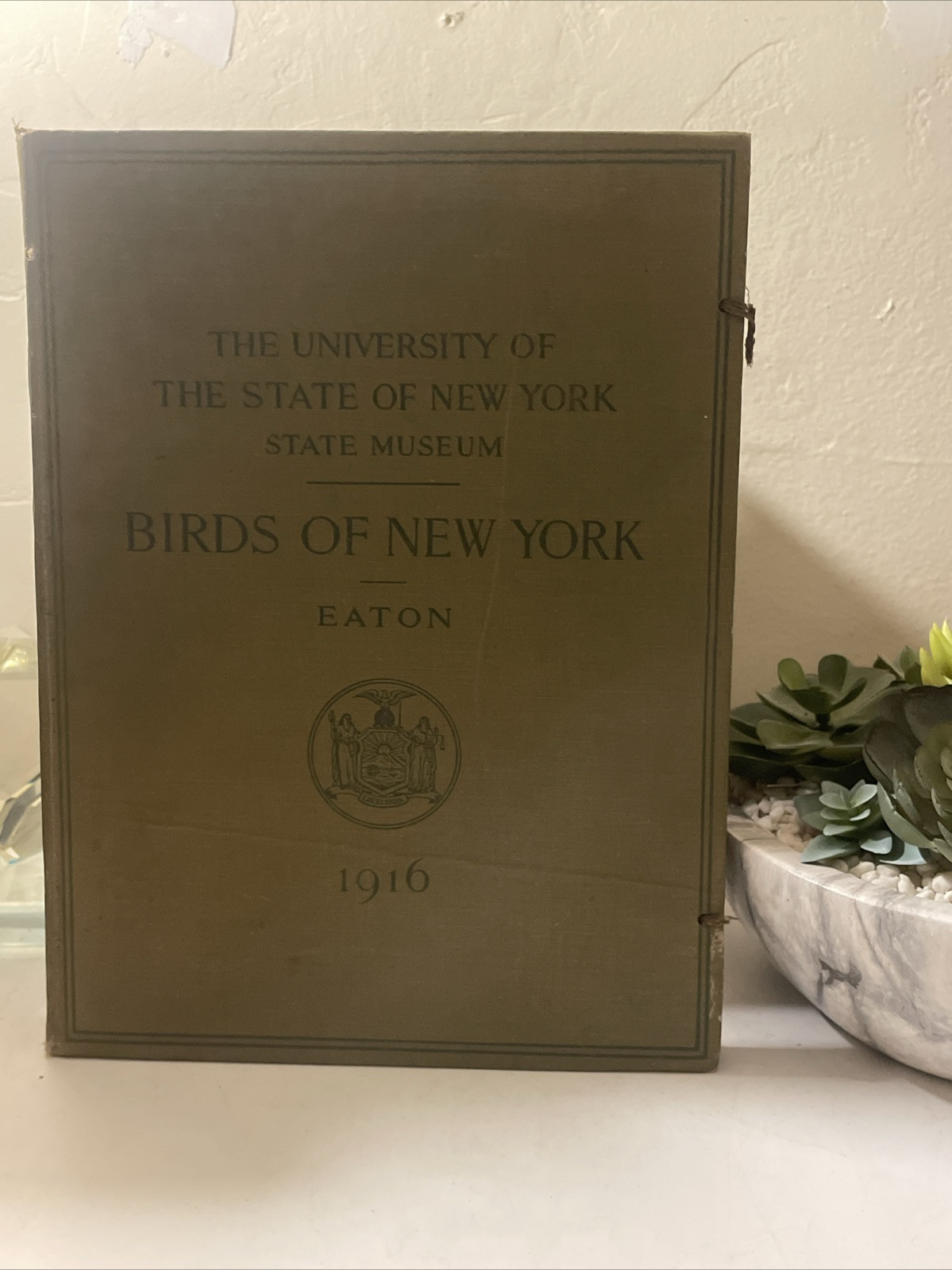 1916 University Of The State Of New York State Museum Birds Of NY Eaton 1916 University Of The State Of New York State Museum Birds Of NY Eaton