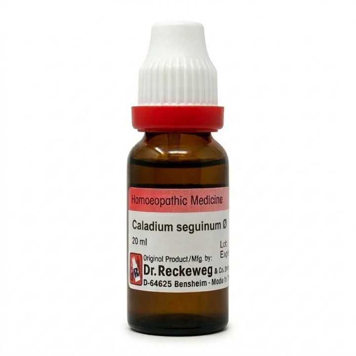 Dr. Reckeweg Caladium seguinum Q Mother Tincture 20ml 