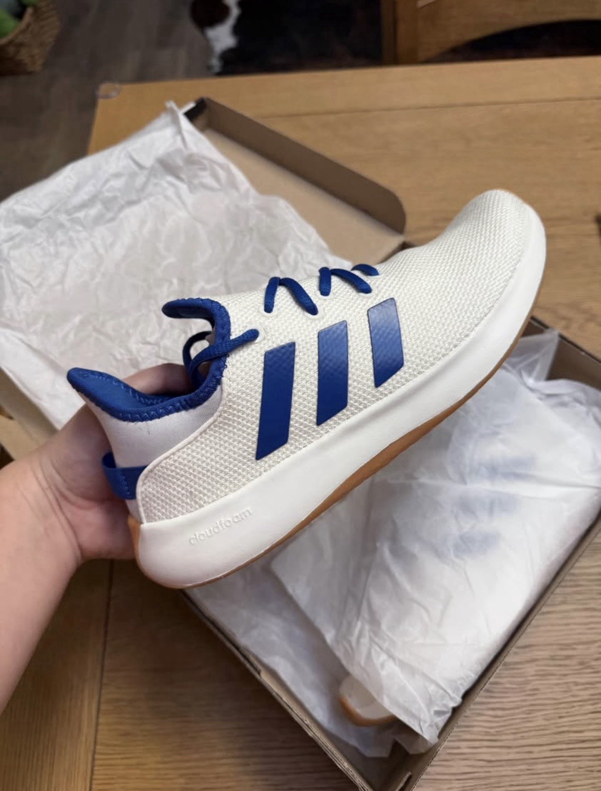 Brand New Adidas Shoes