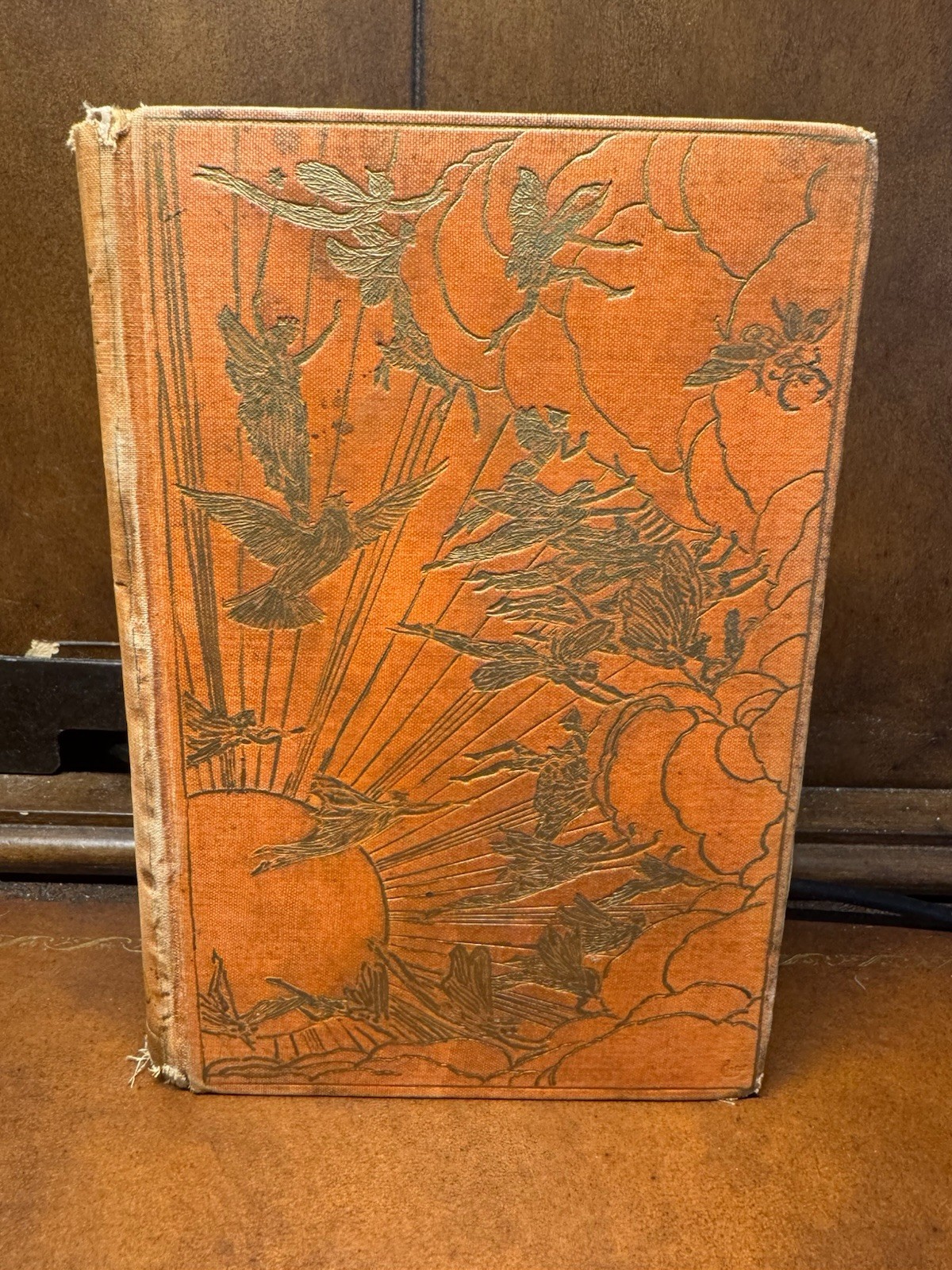 1906 1st ed Orange Fairy Book Andrew Lang Fairy Tales Ugly Duckling Magic Mirror